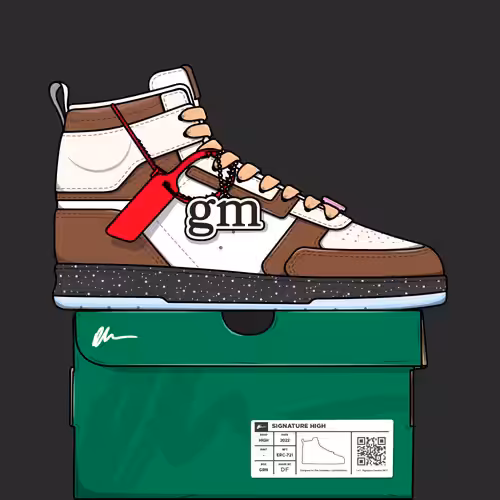 Signature Sneakers Highs #250