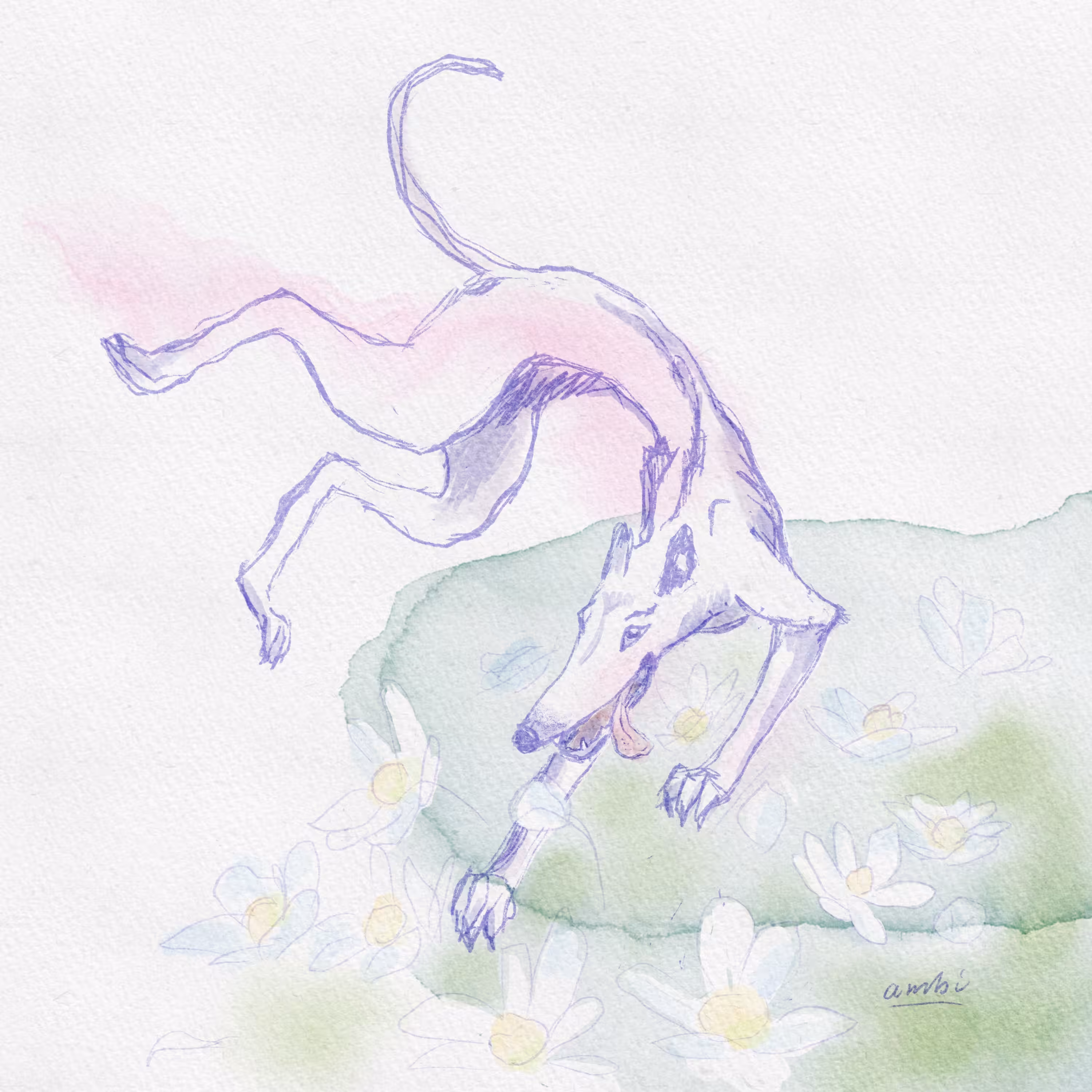 Spring Dancer 
