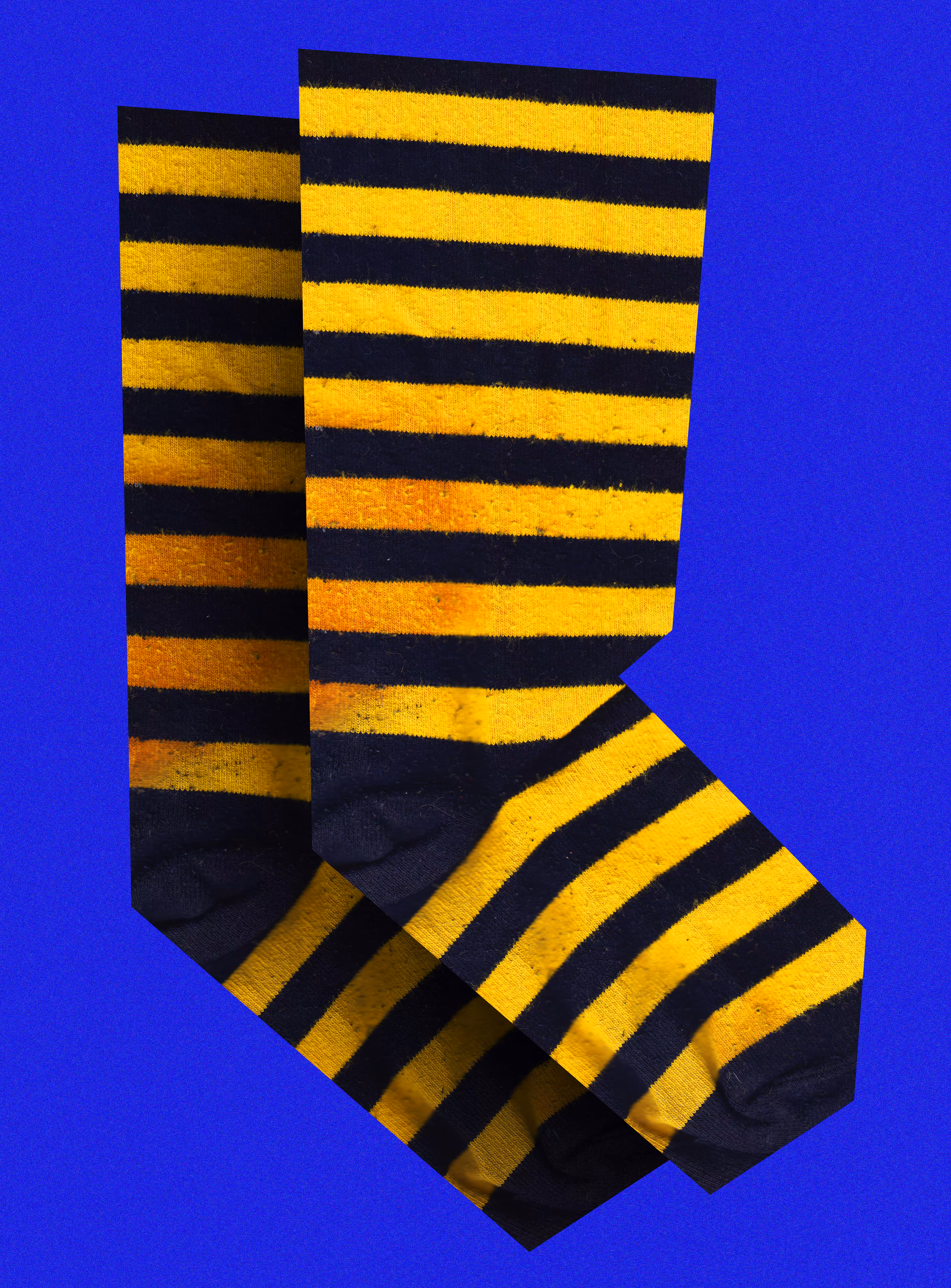 BEE SOCKS FROM FLORA THE CLOWN
