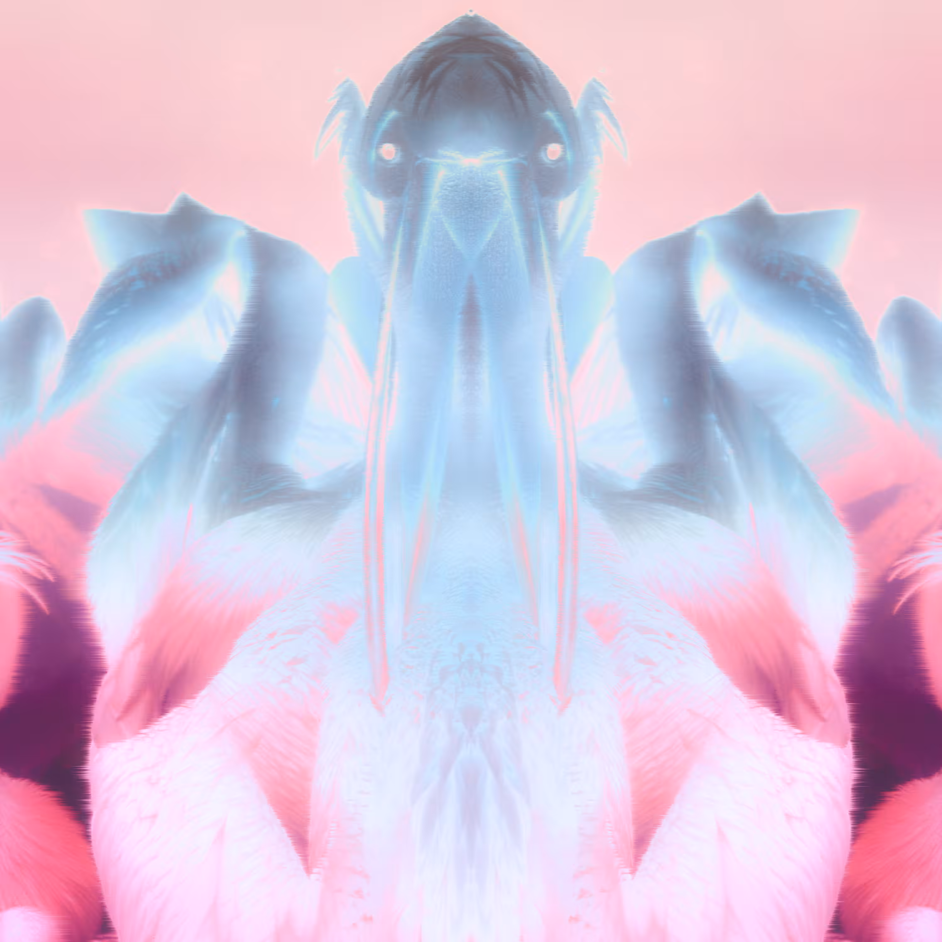 ONOCRONA 