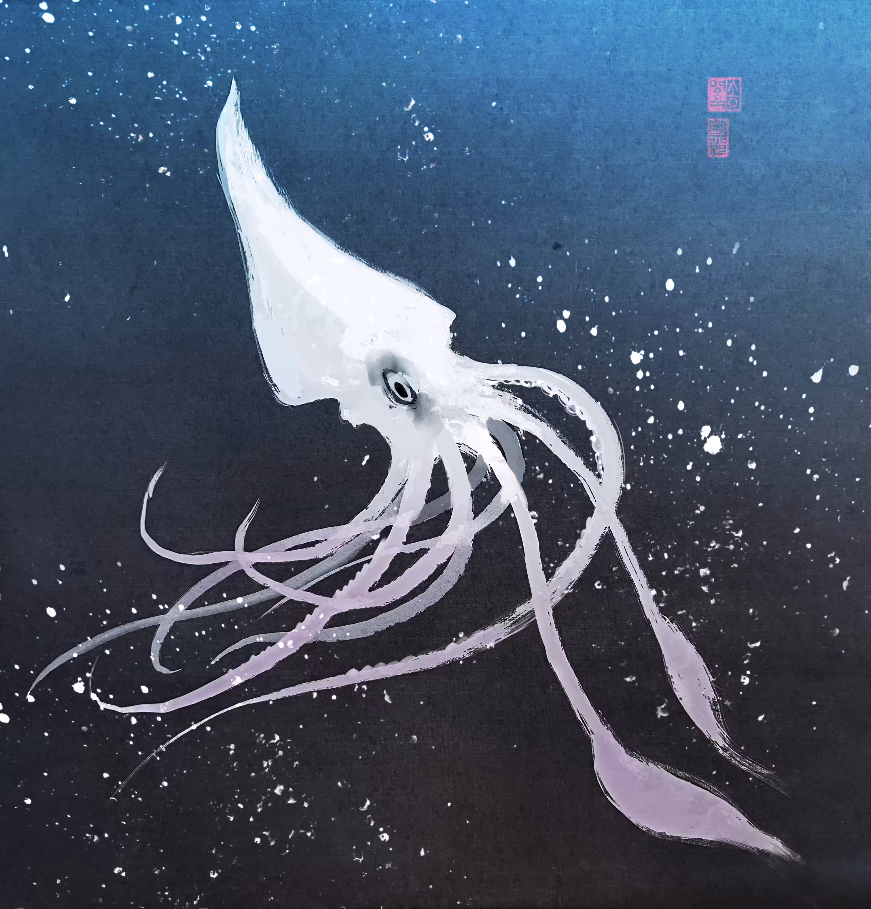 Squid