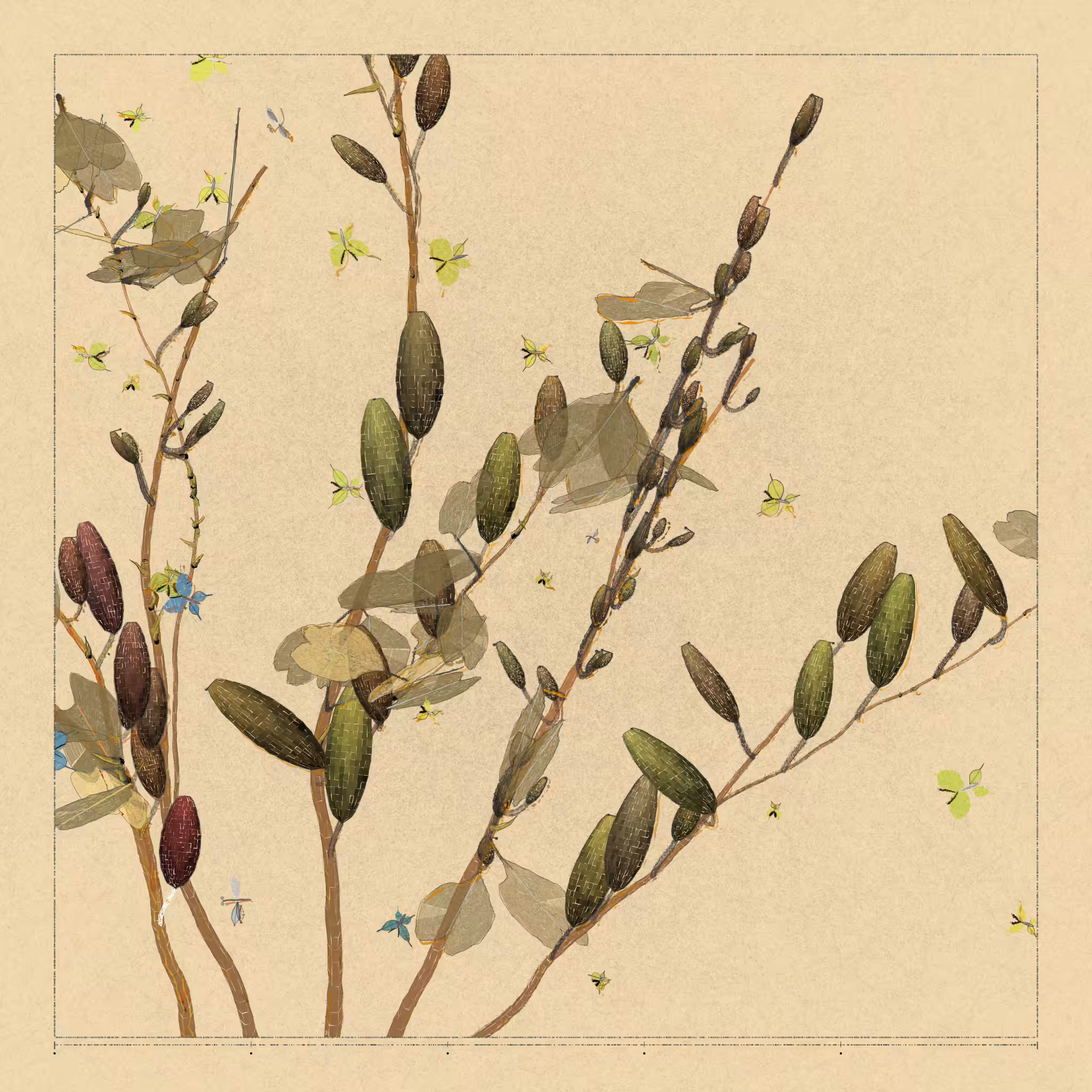 Polypaths | 植徑集 #128