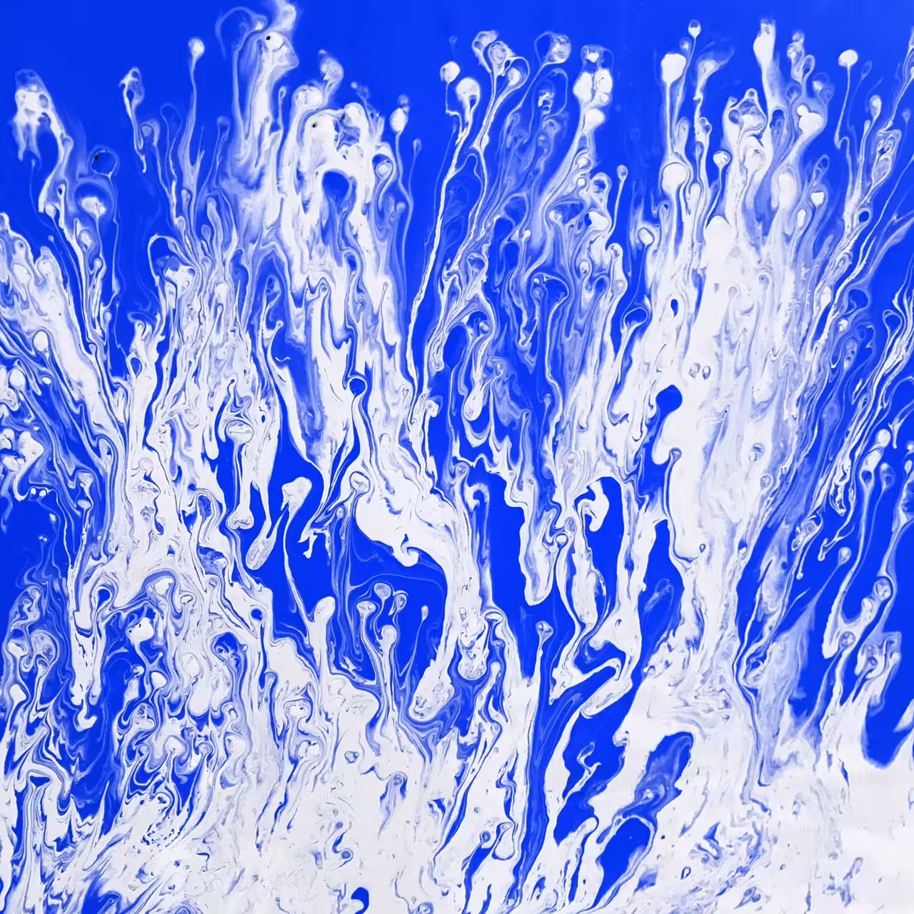 FutureNow Art: LEAD ME TO SEA