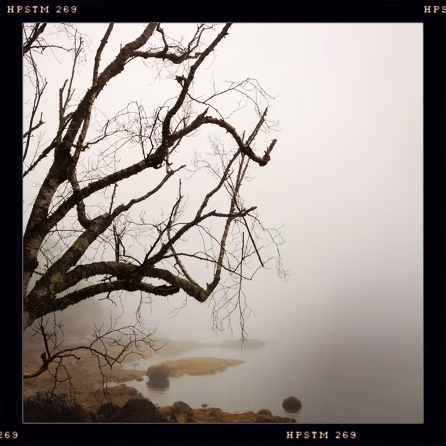 hipsta: IMG_6734