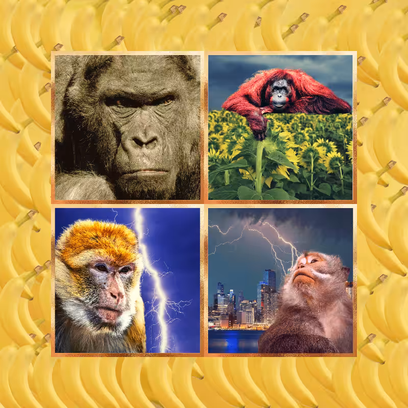 Banana legends #38