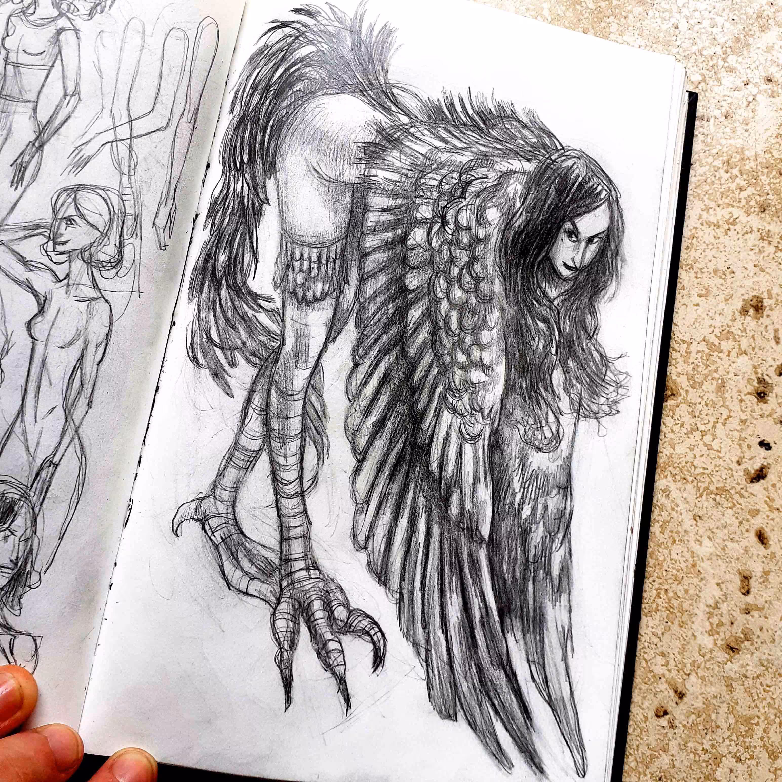 Harpy