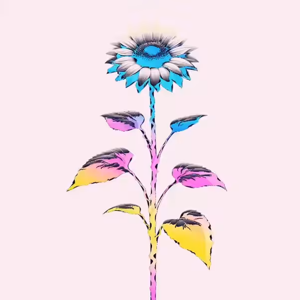 Vapor