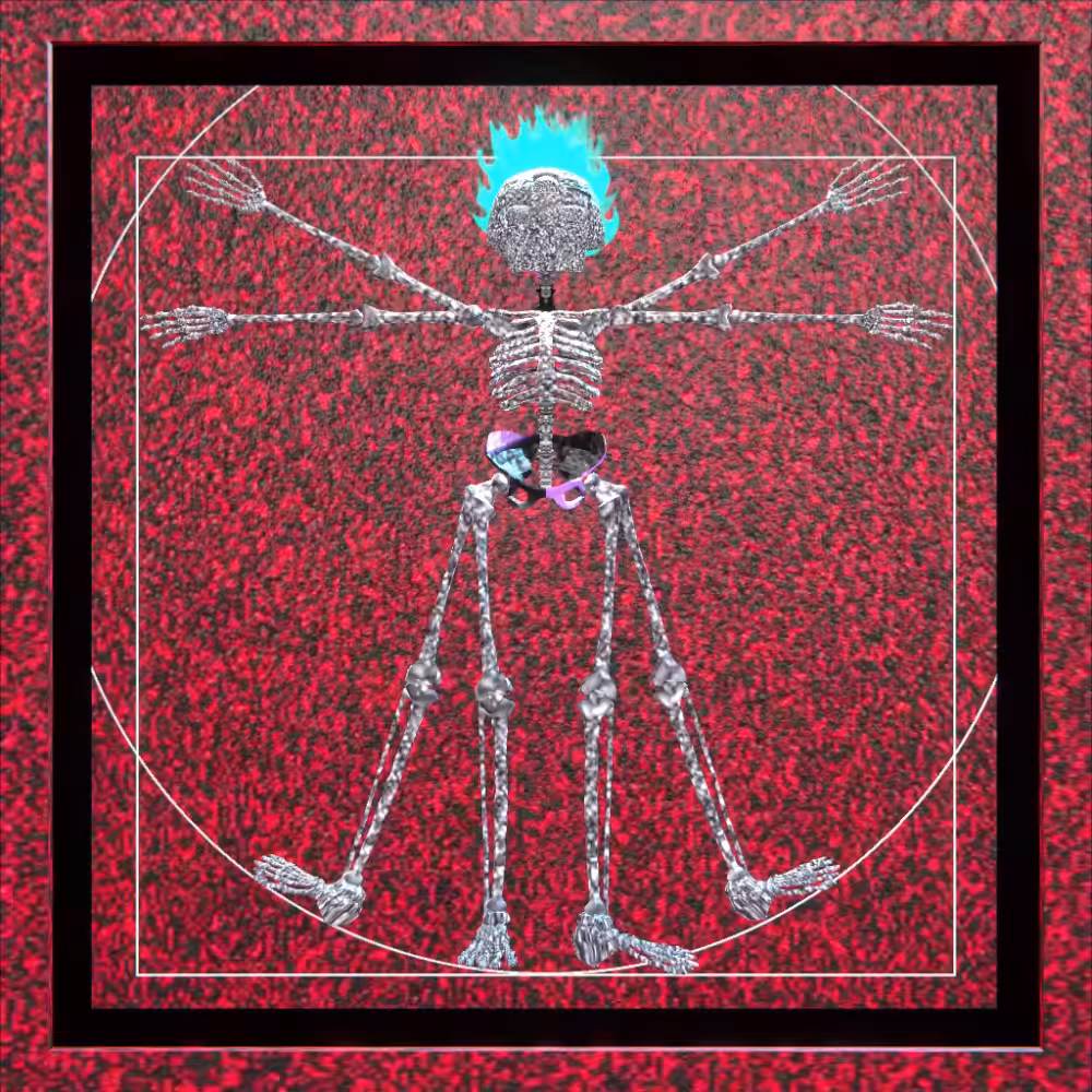 xVinci.mp4