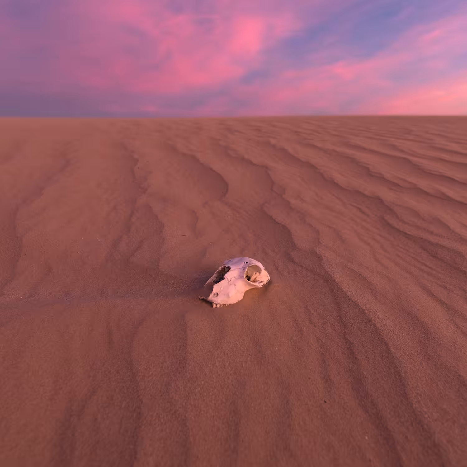 Sands of Time fig2 pt2