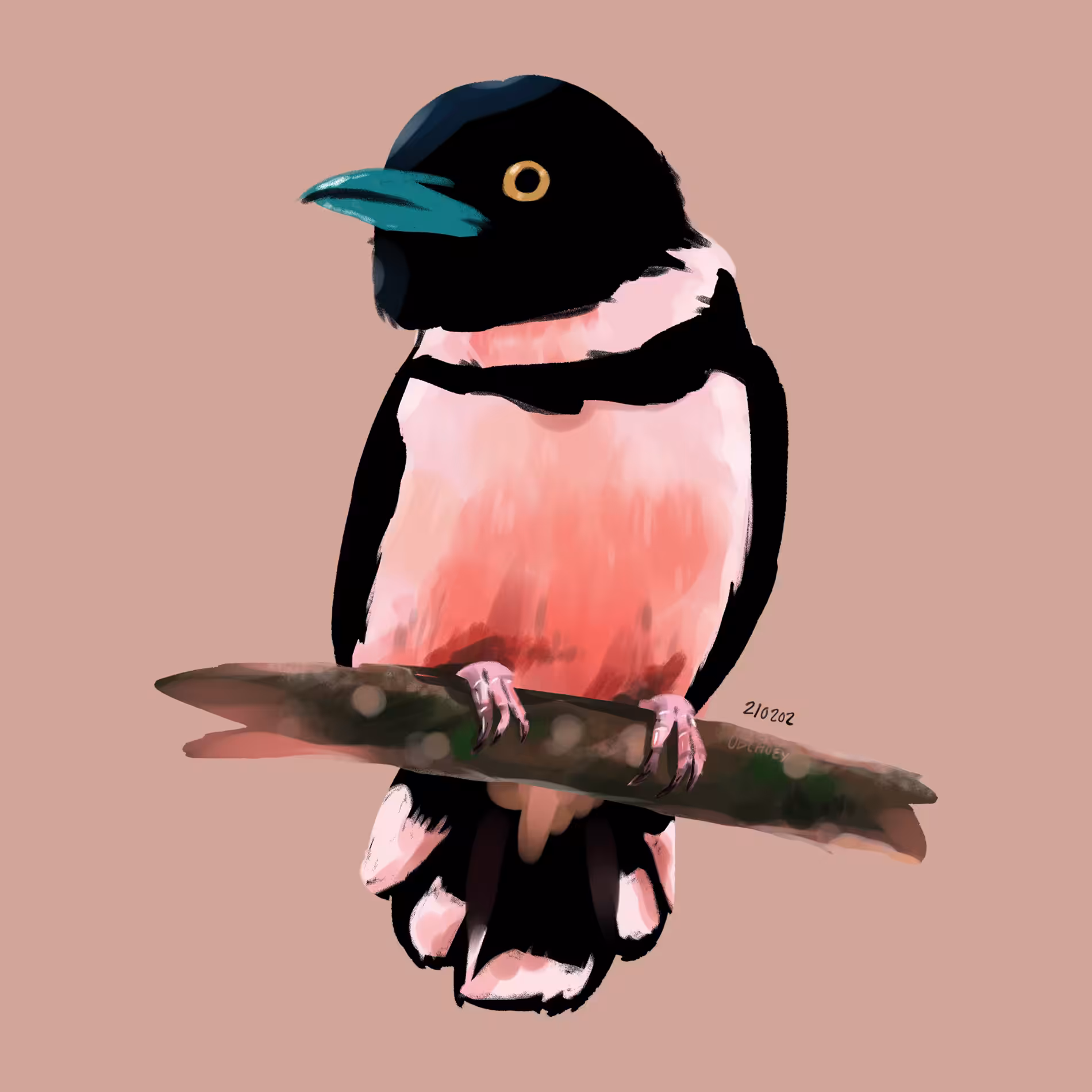 Birb