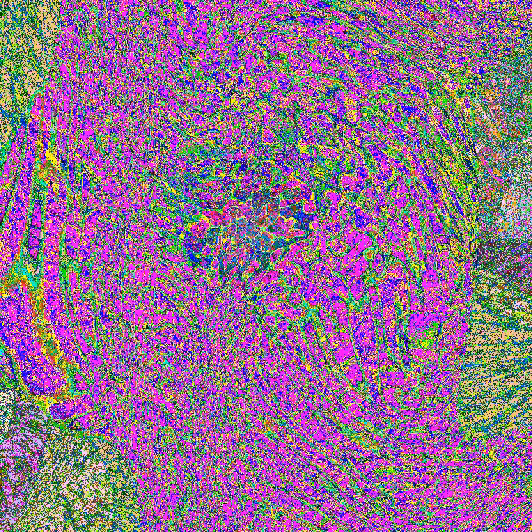 Einstein-Rosen Memories #49