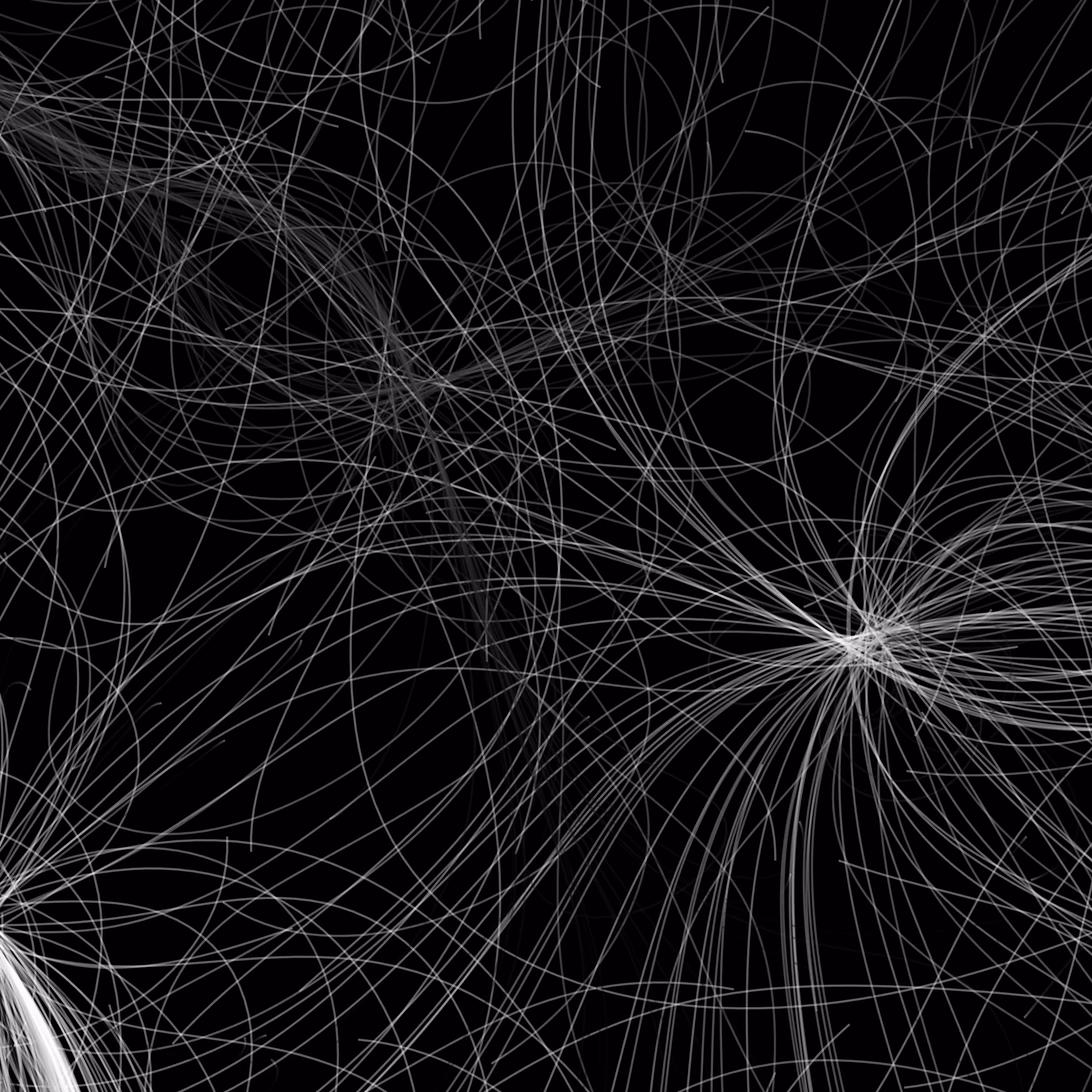 Phototaxis #398