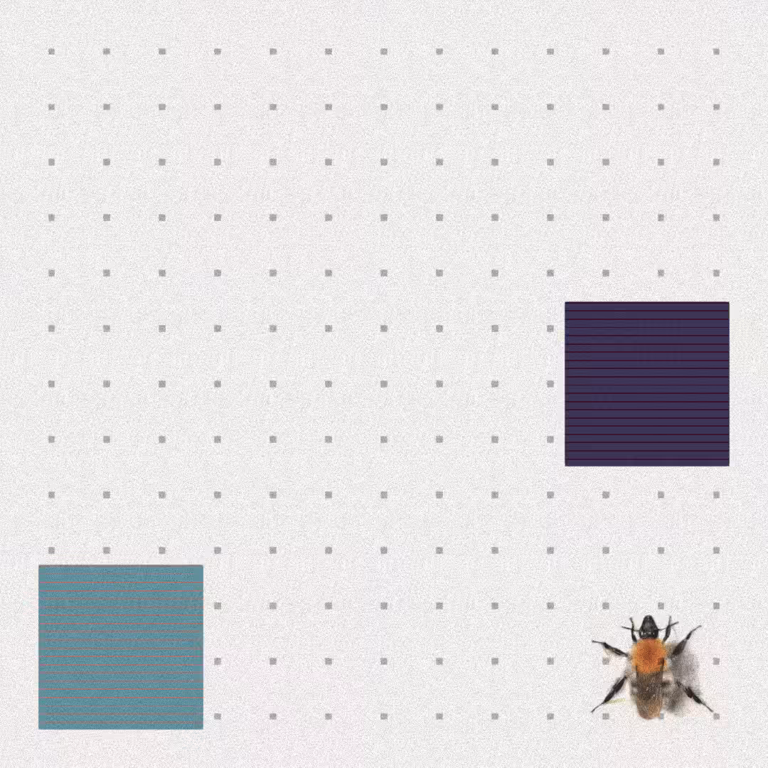 Bee #12