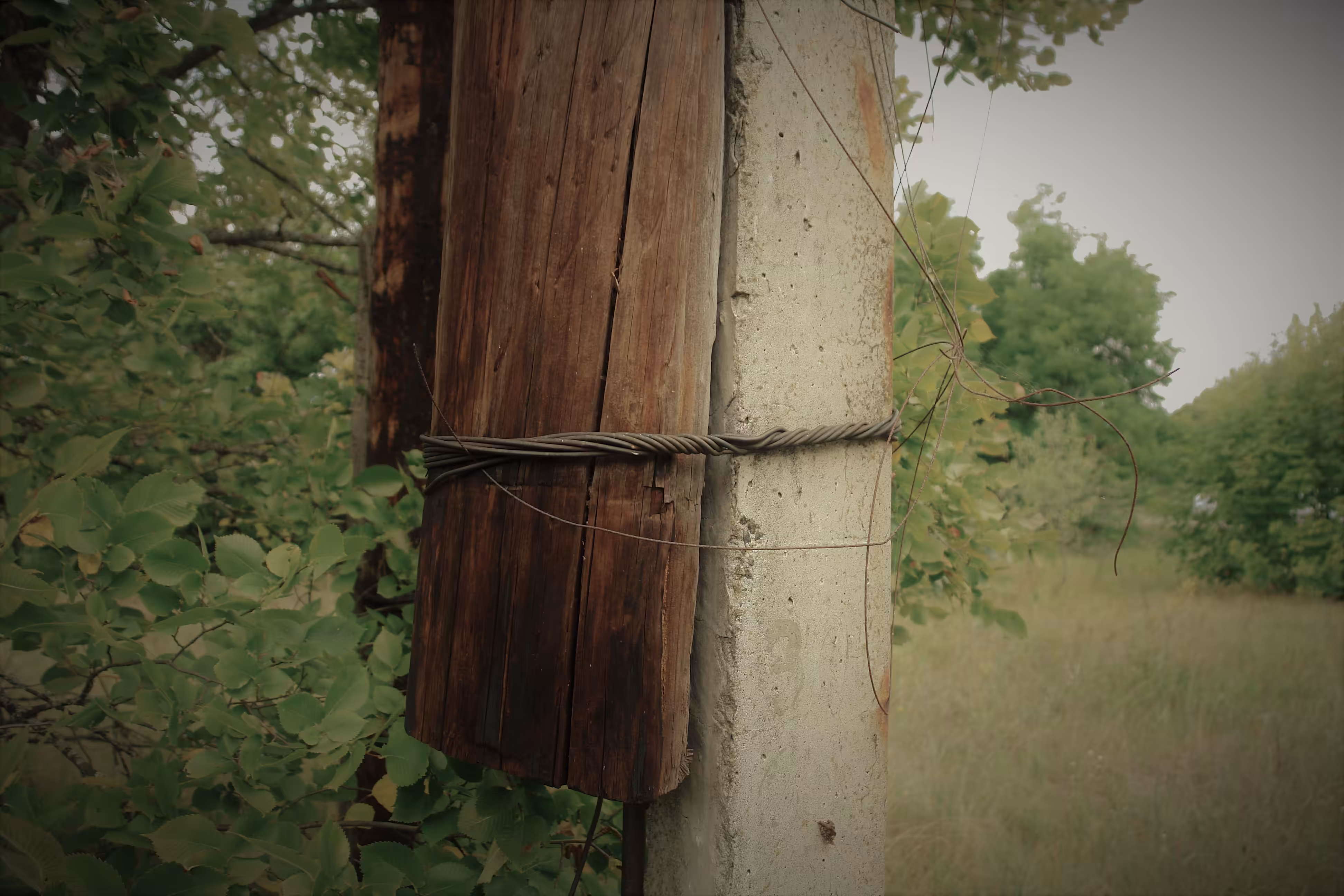 Photographic details (19)