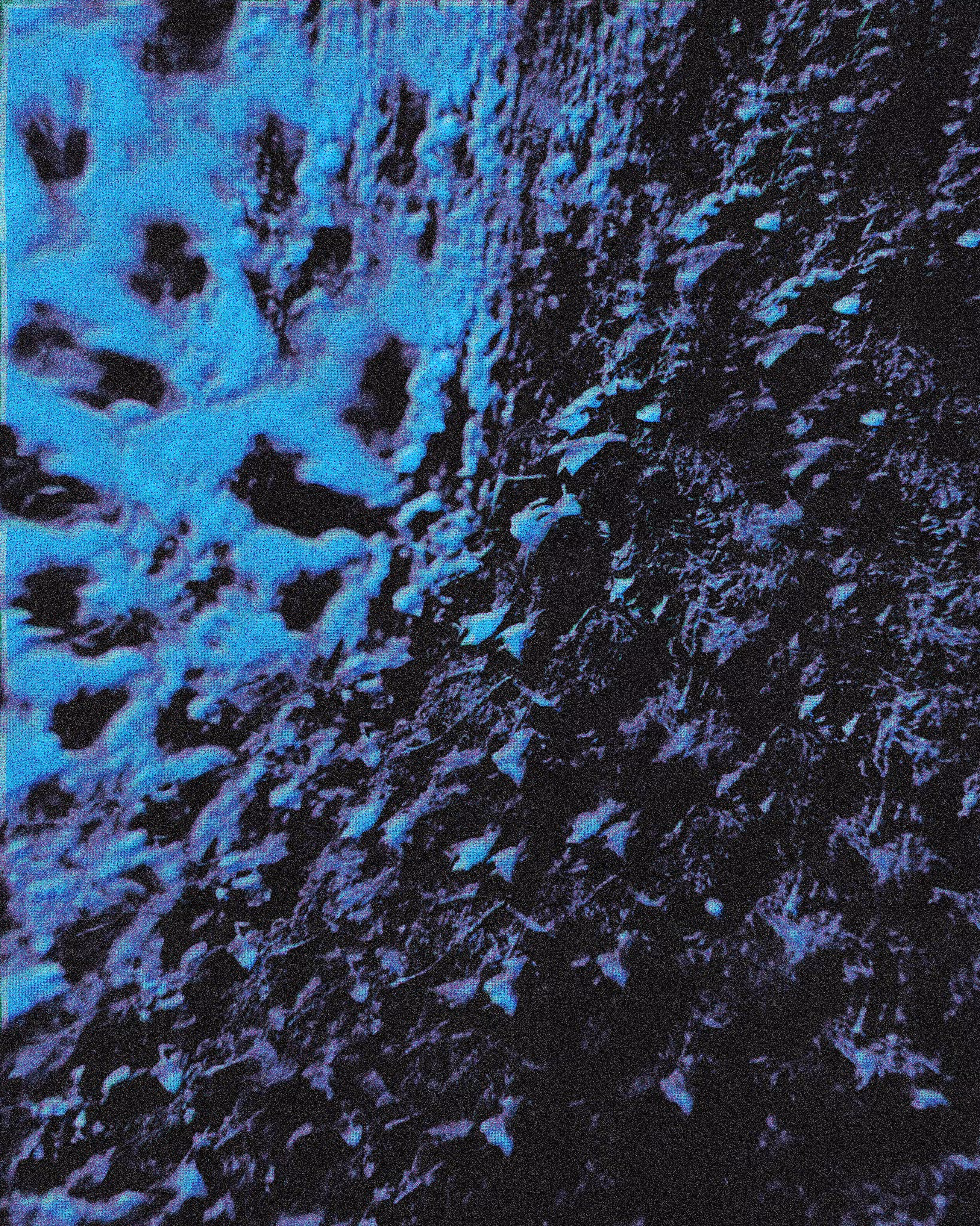k4_k1#2_2