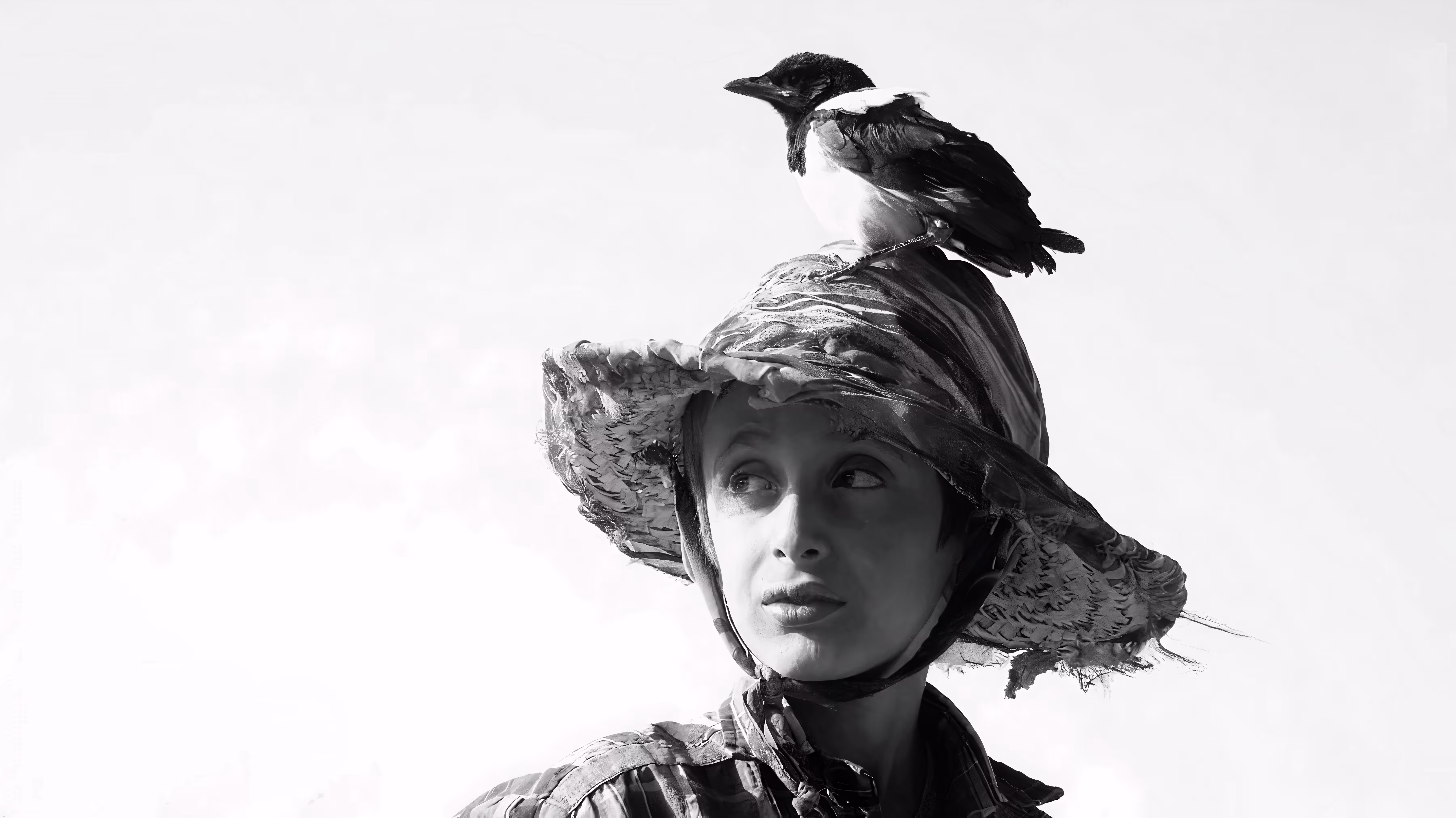 with the wind : A boy and his crow