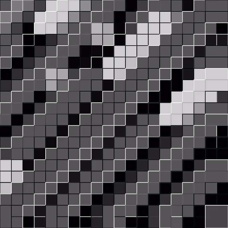grayscale #21