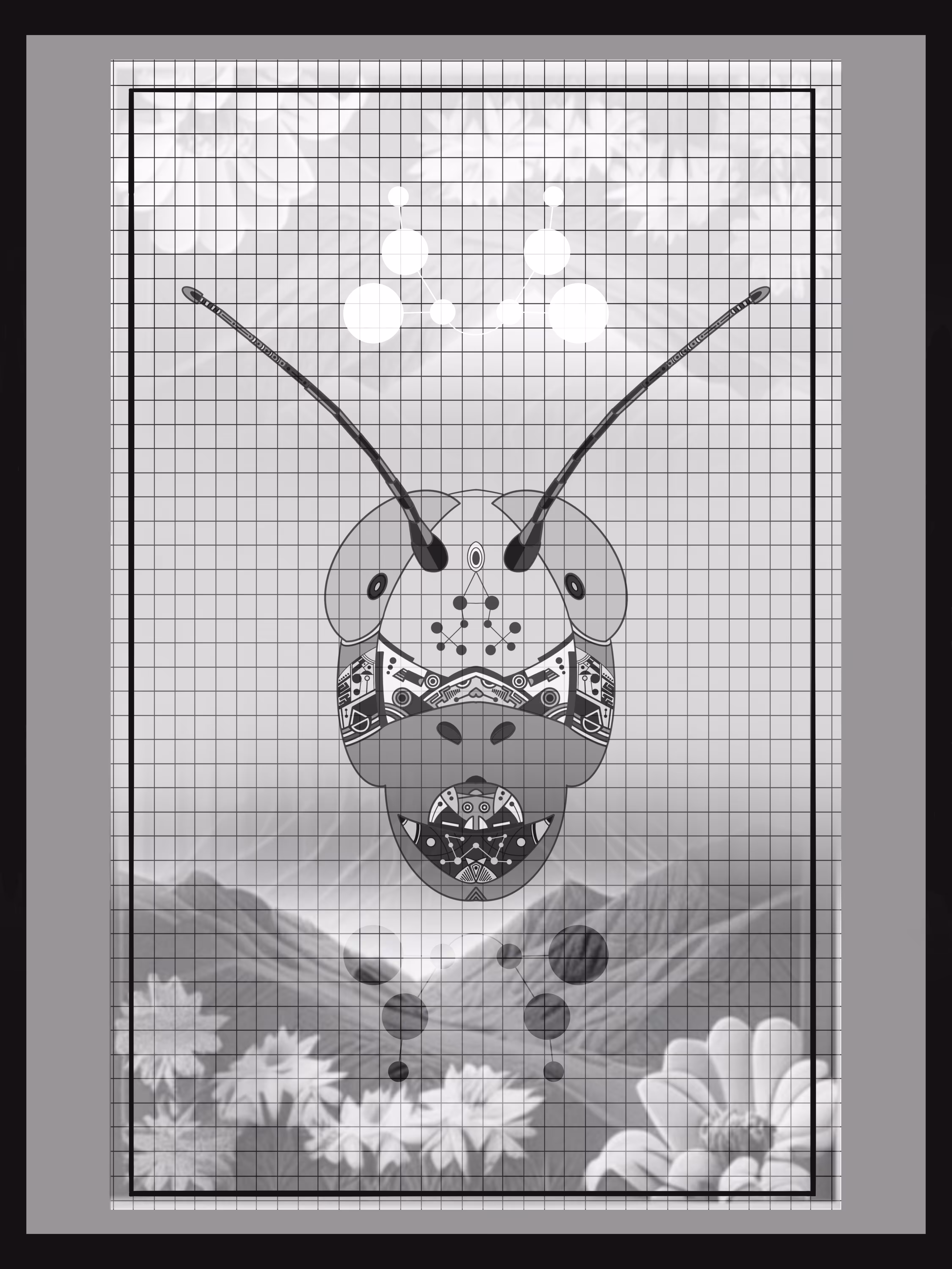 Grasshopper