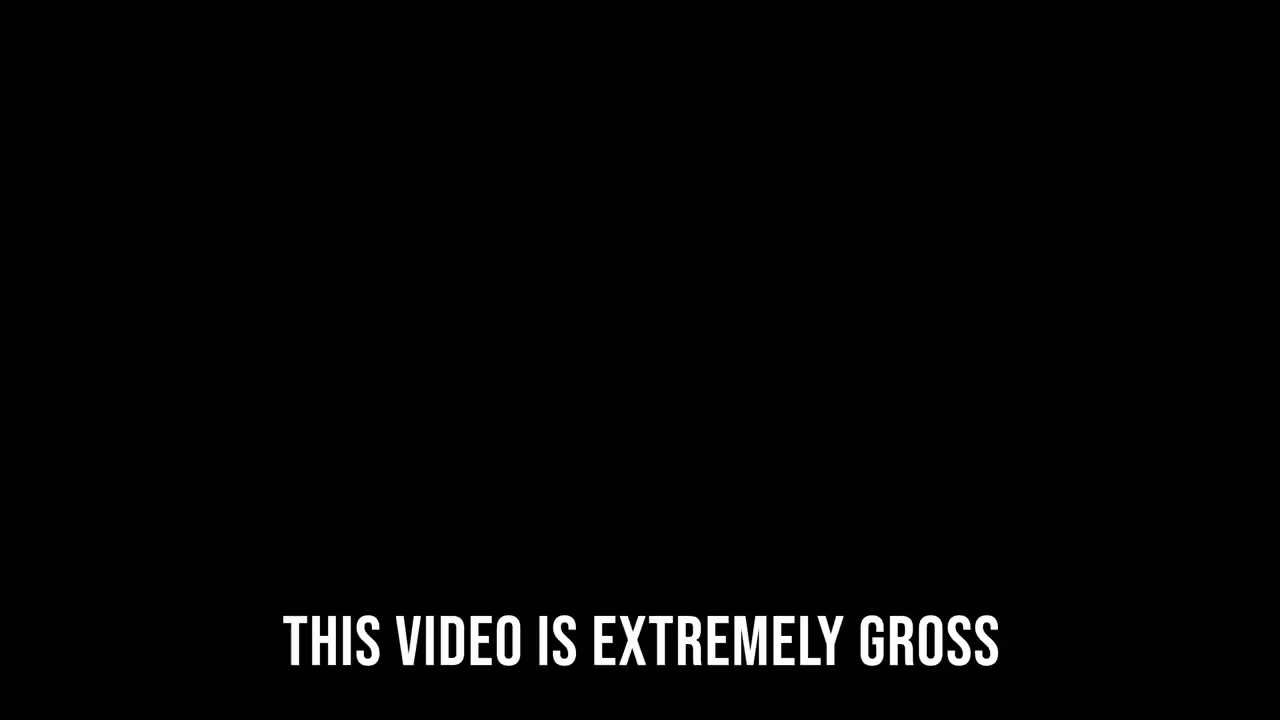 Song A Day: The GOP Elephant Pooped It's Poopy Pants