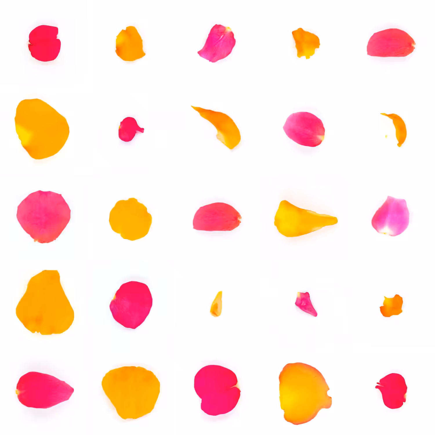 Infinite Petals 5x5#159