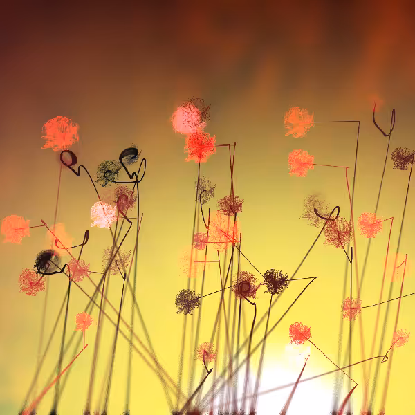 Cottongrass #36