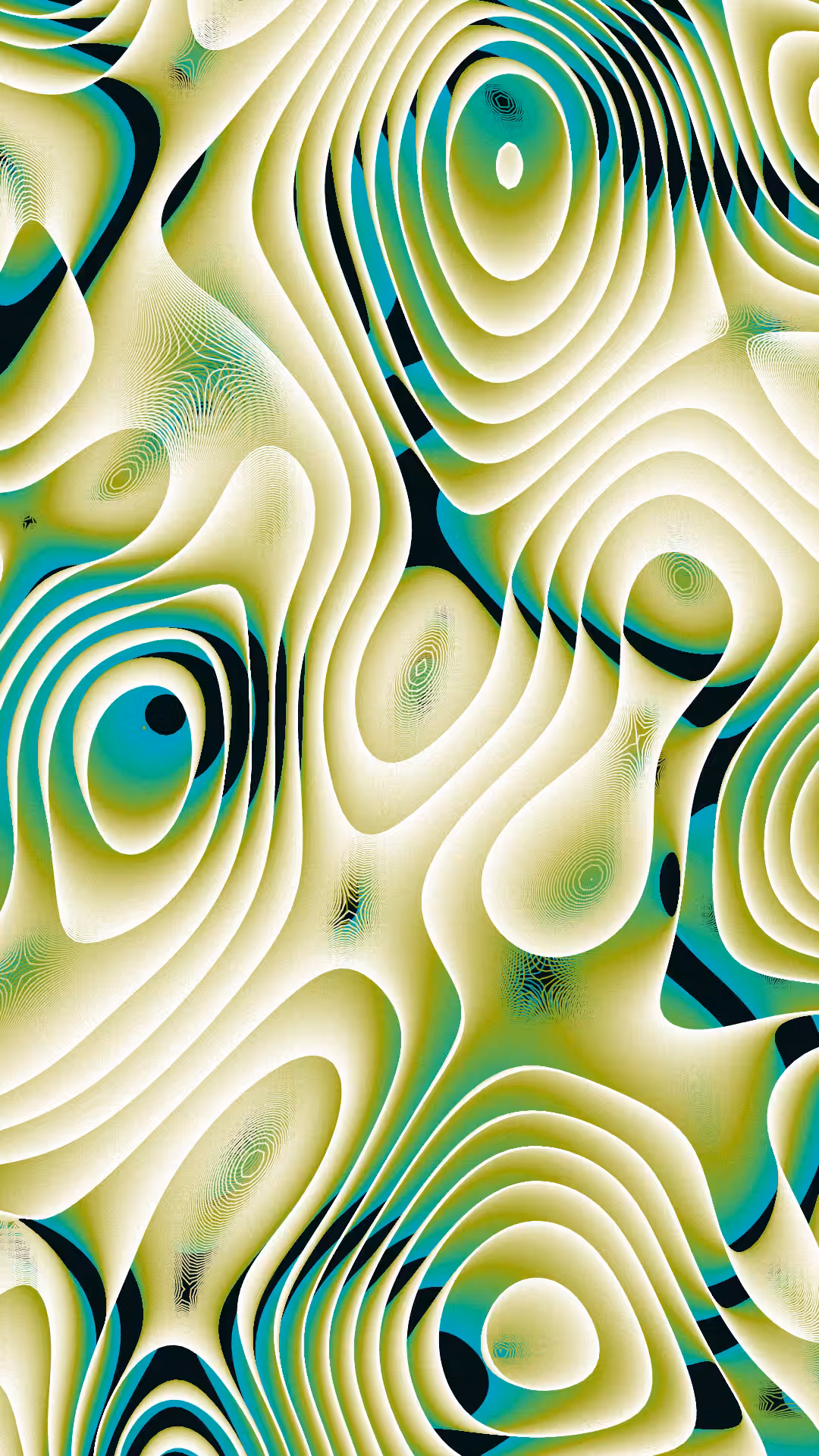 FLUID 2.0 #6
