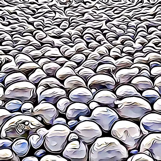 Sea of Rocks #4