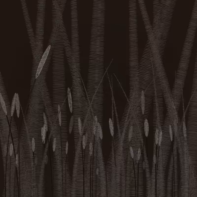 ZigZag Garden #46