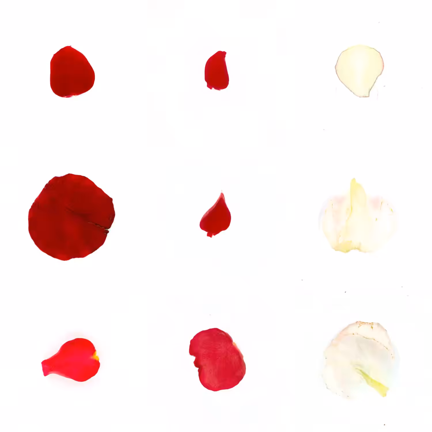Infinite Petals 3x3#20841