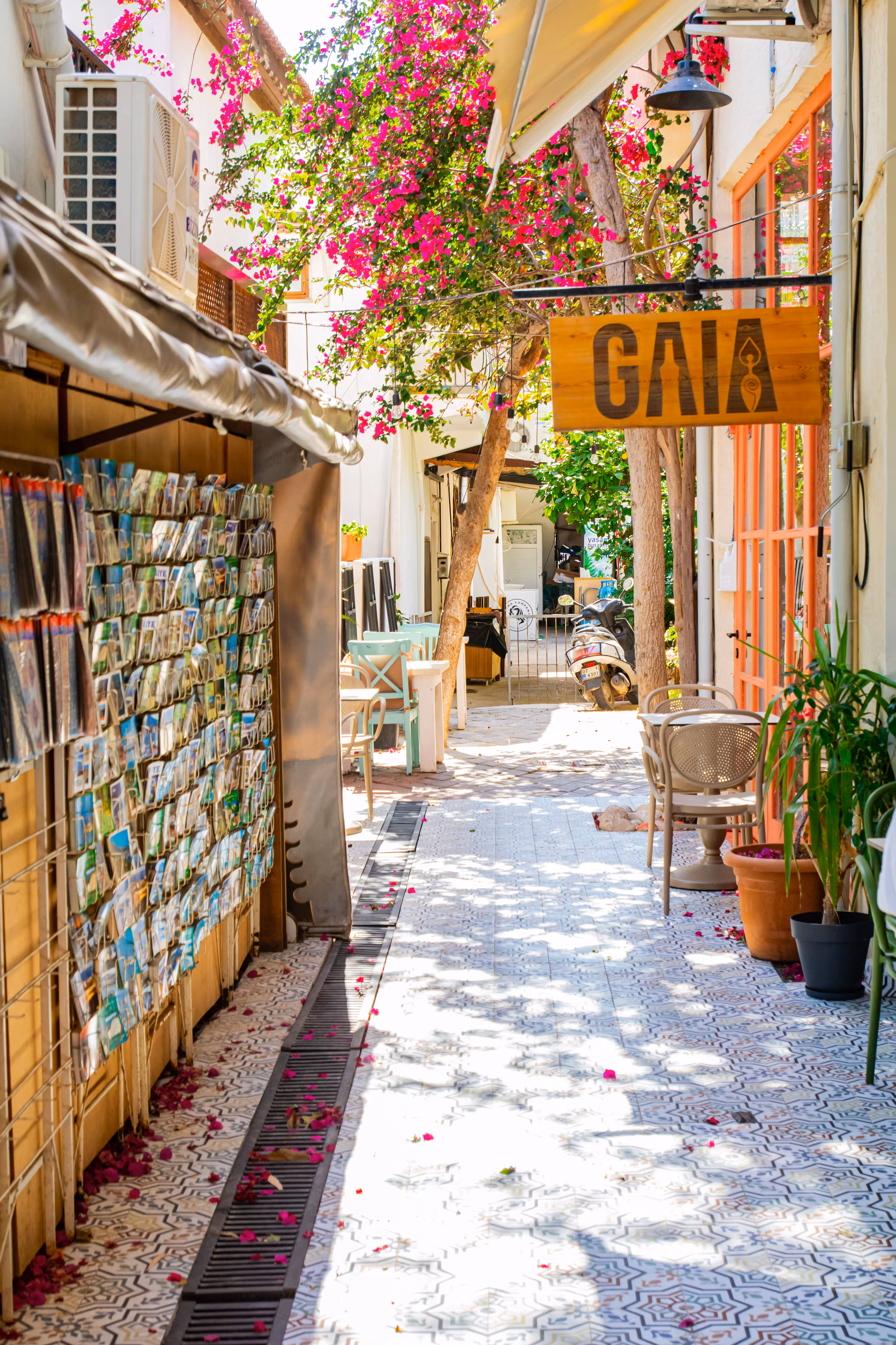 Gaia Street
