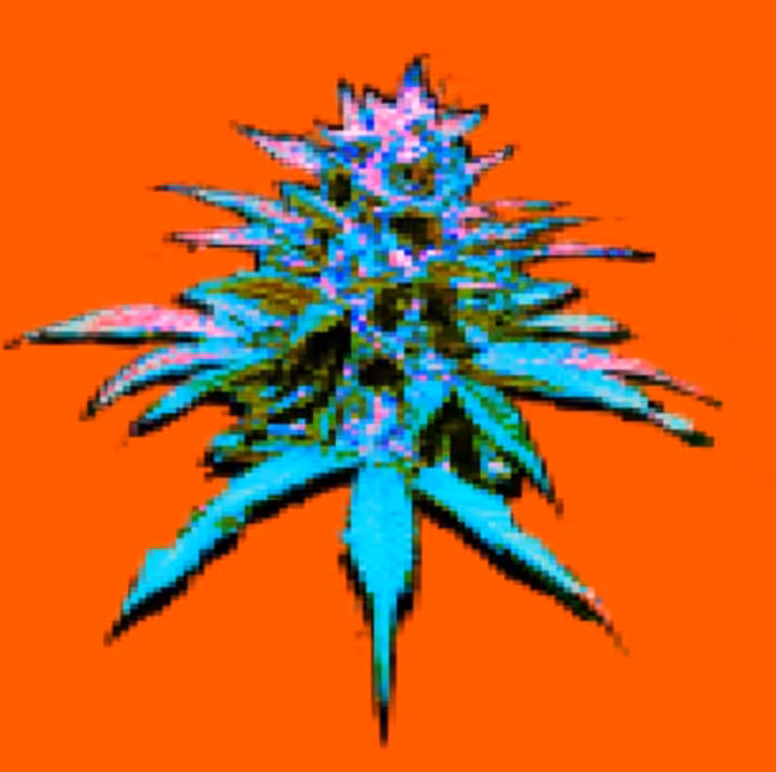 Sonic BlueSKUNK-079