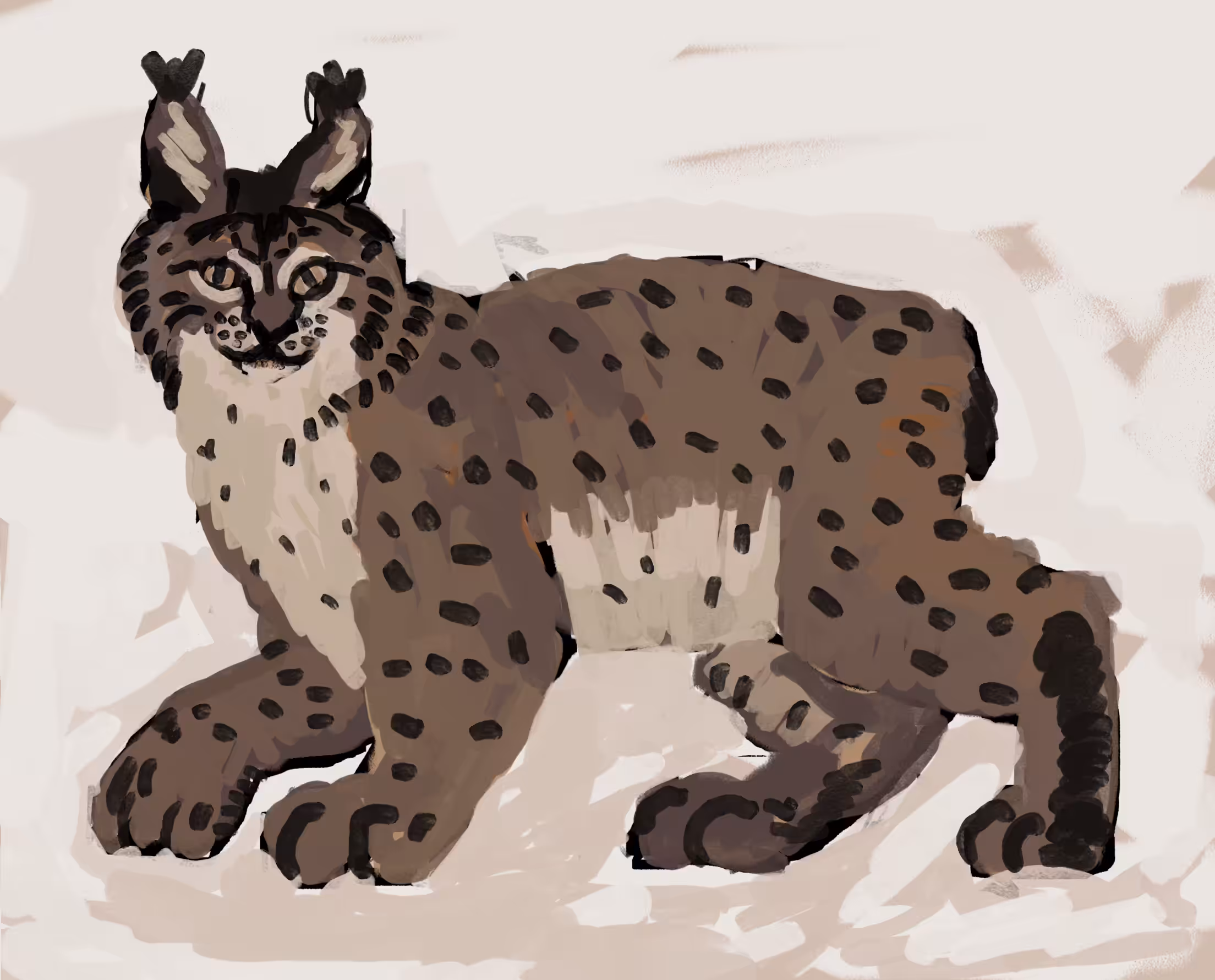 Day 7 Lynx