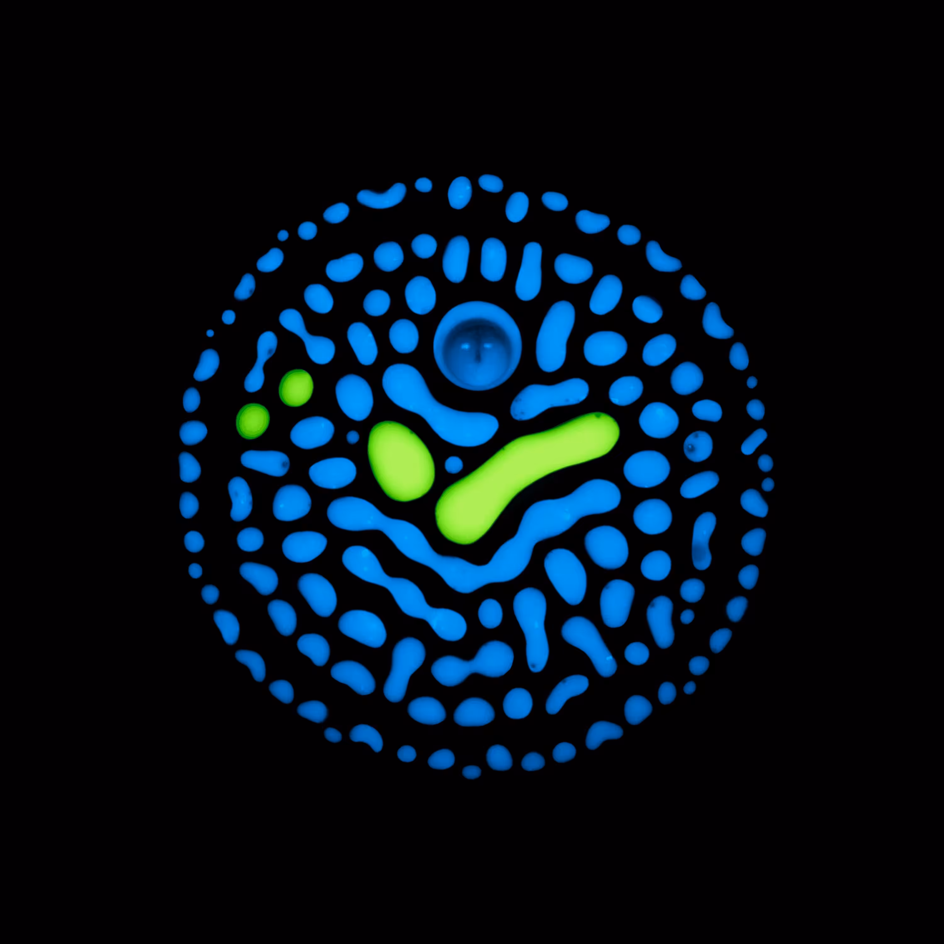 Haematopoiesis #62