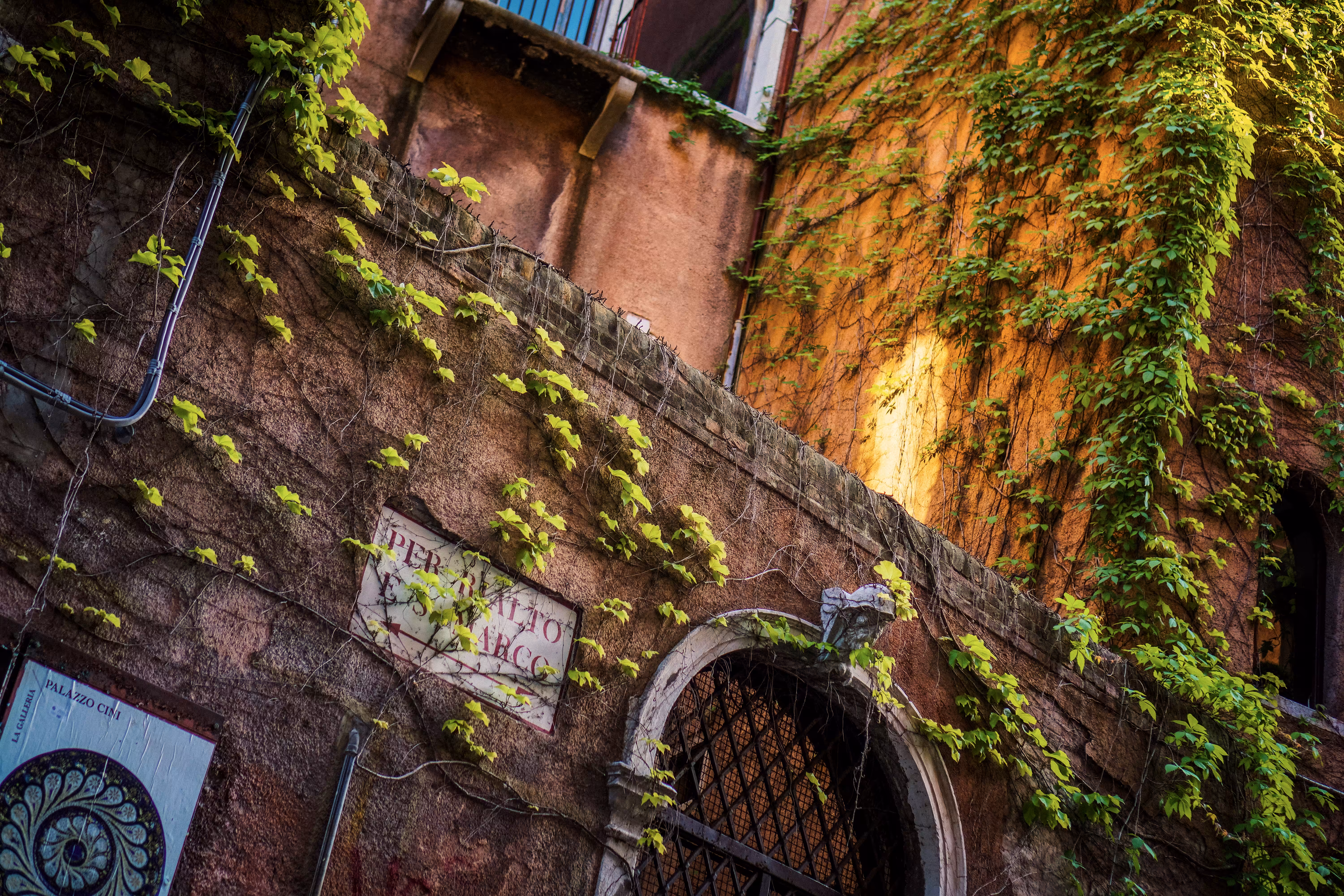 Venetian Vines