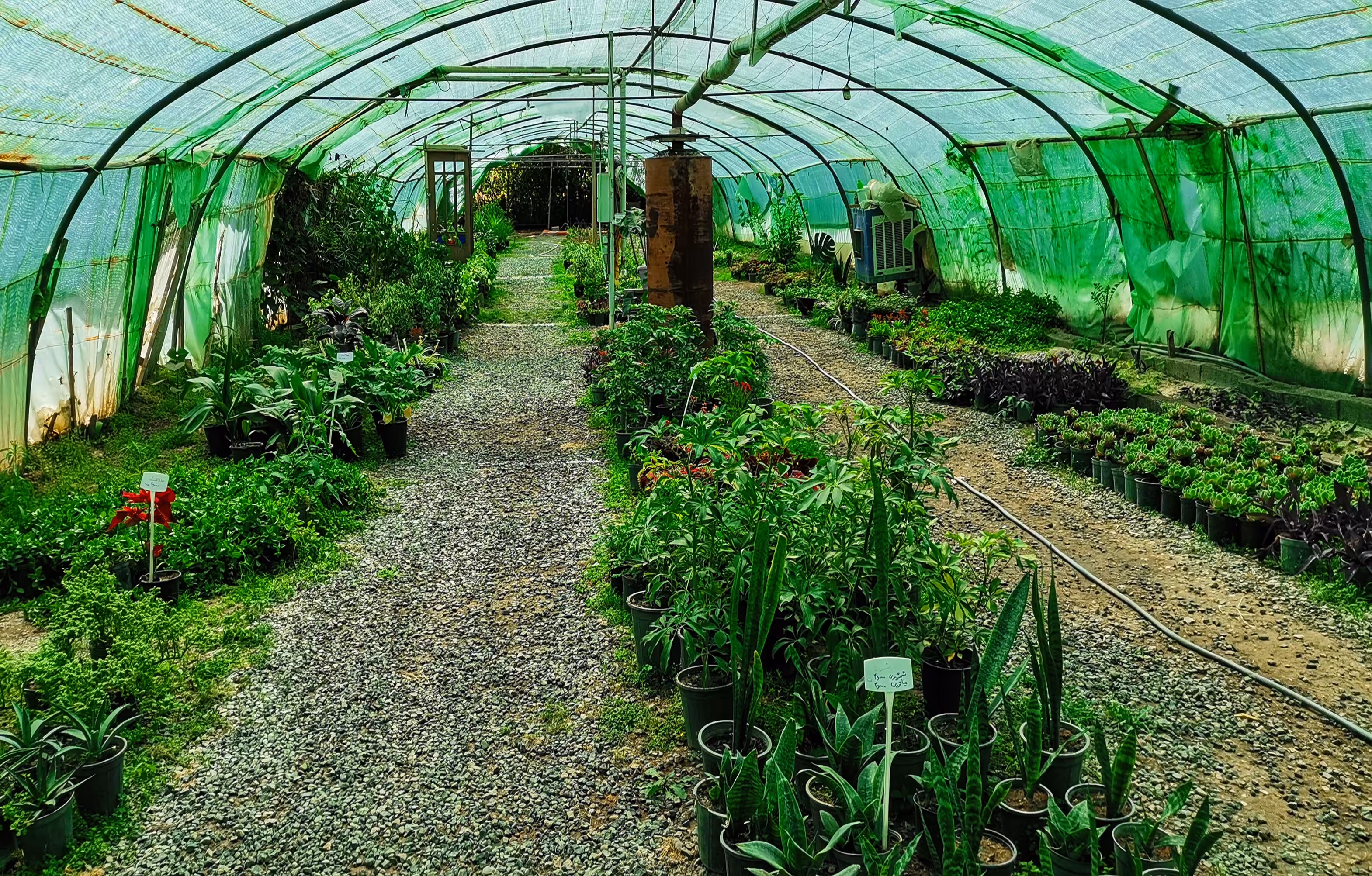 Greenhouses 