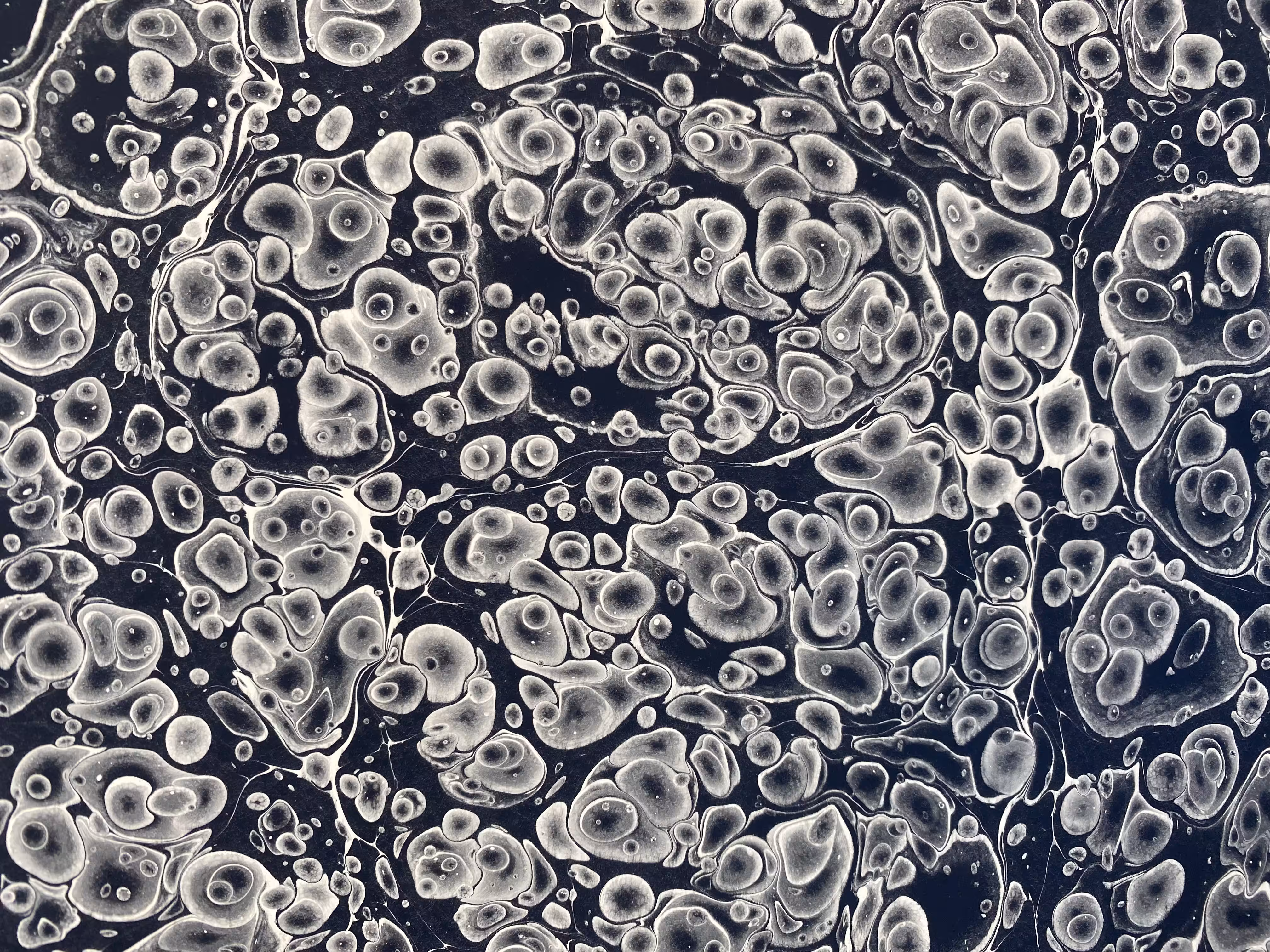 Monochrome Battal Ebrû / Marbling Art SE #18