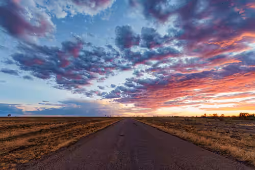 Nature's Palette