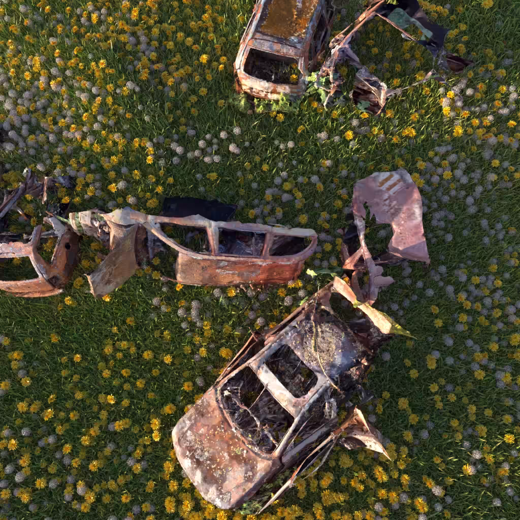 We had a new car, but it burned down. /2