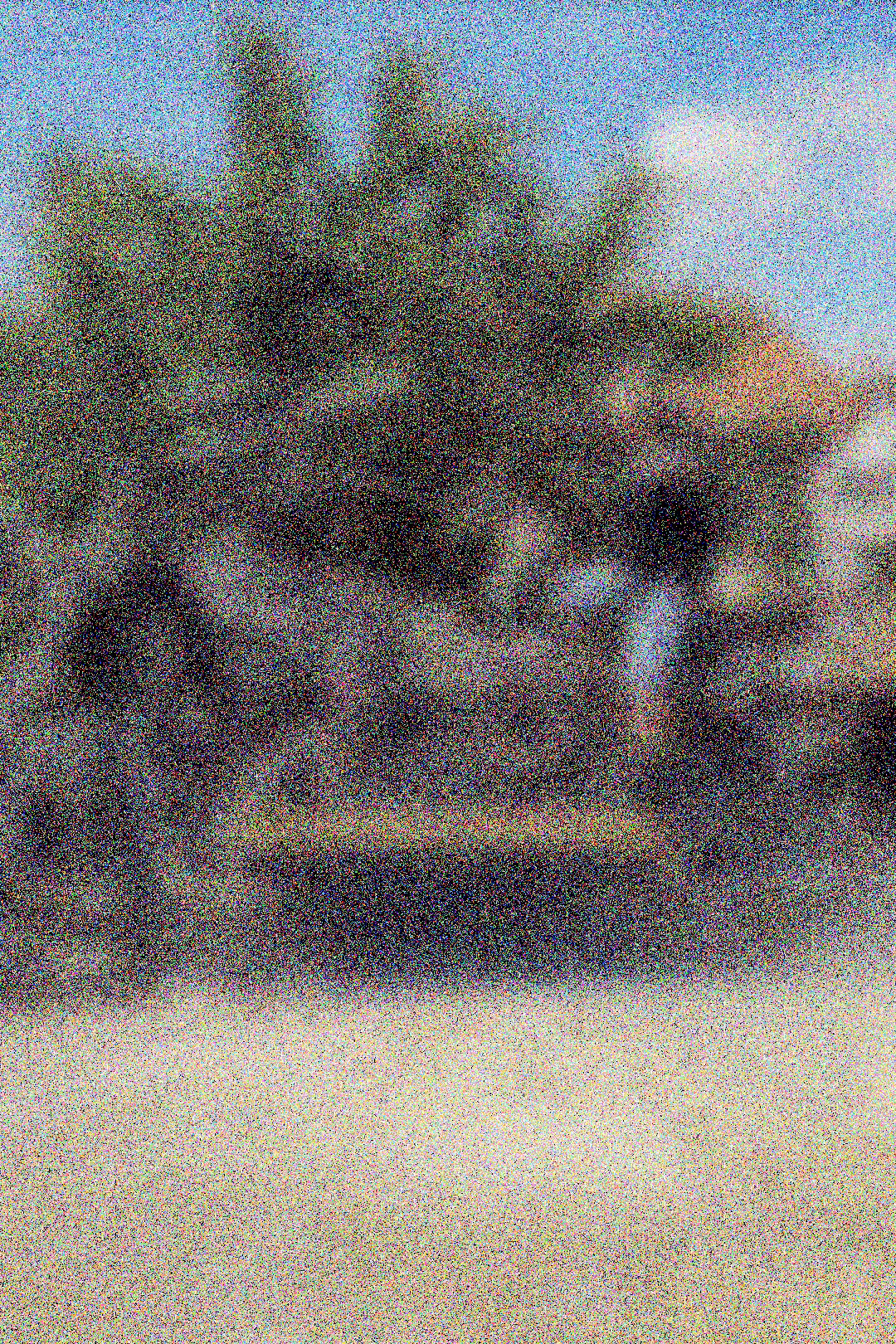 BIKE (2)