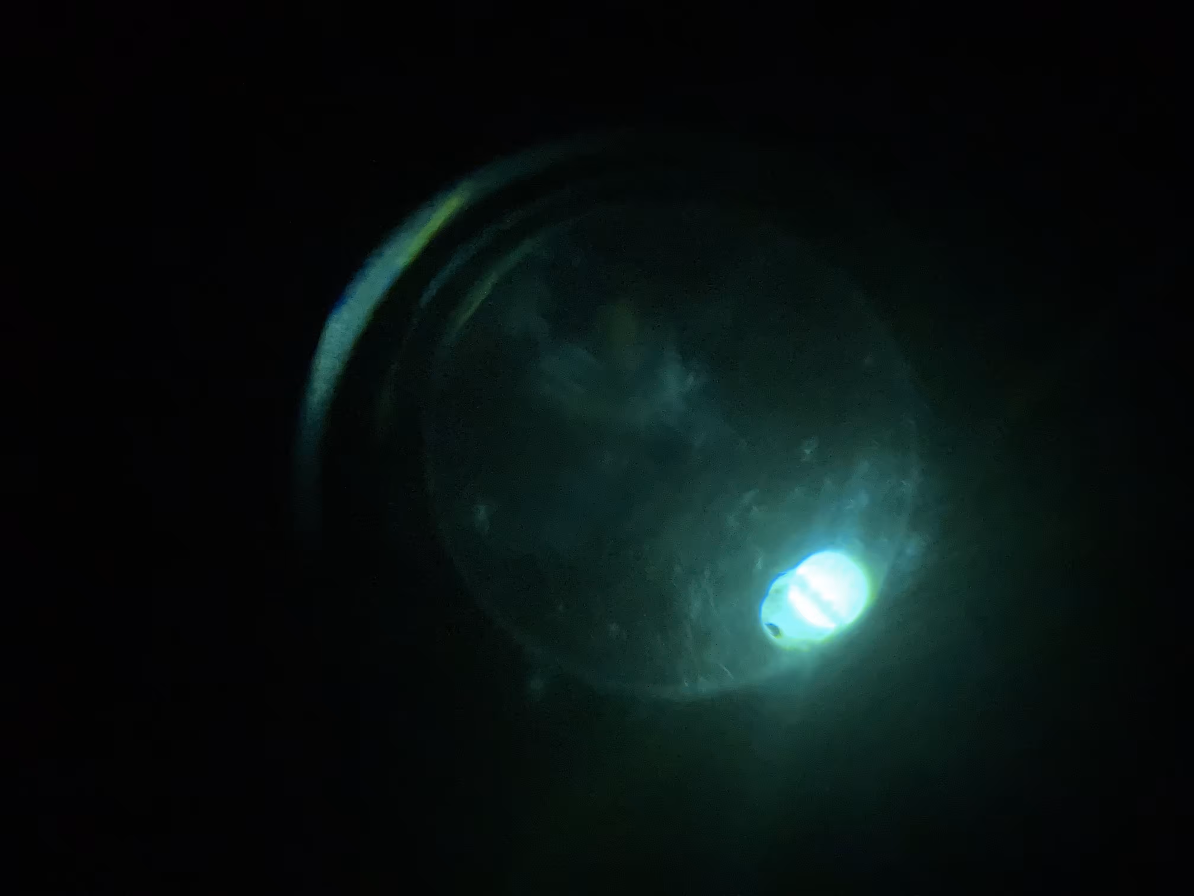 Mercury Lights Four