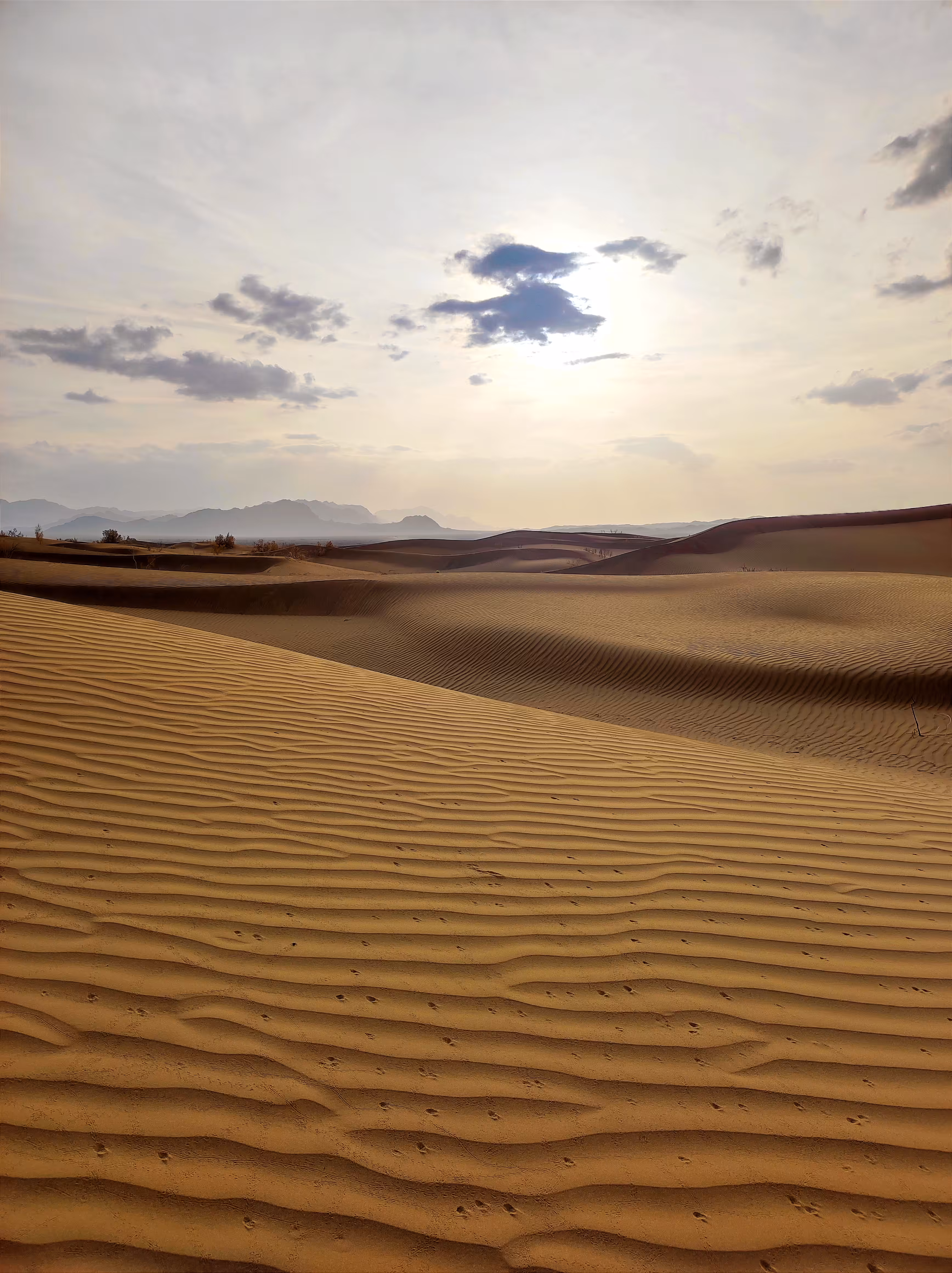 Mesr desert