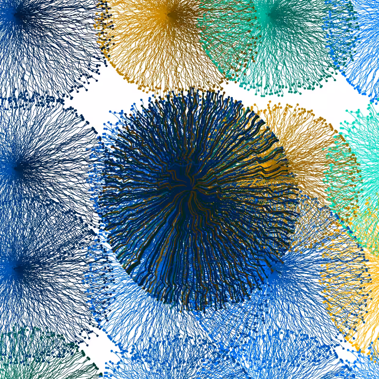 CircuWeb #24