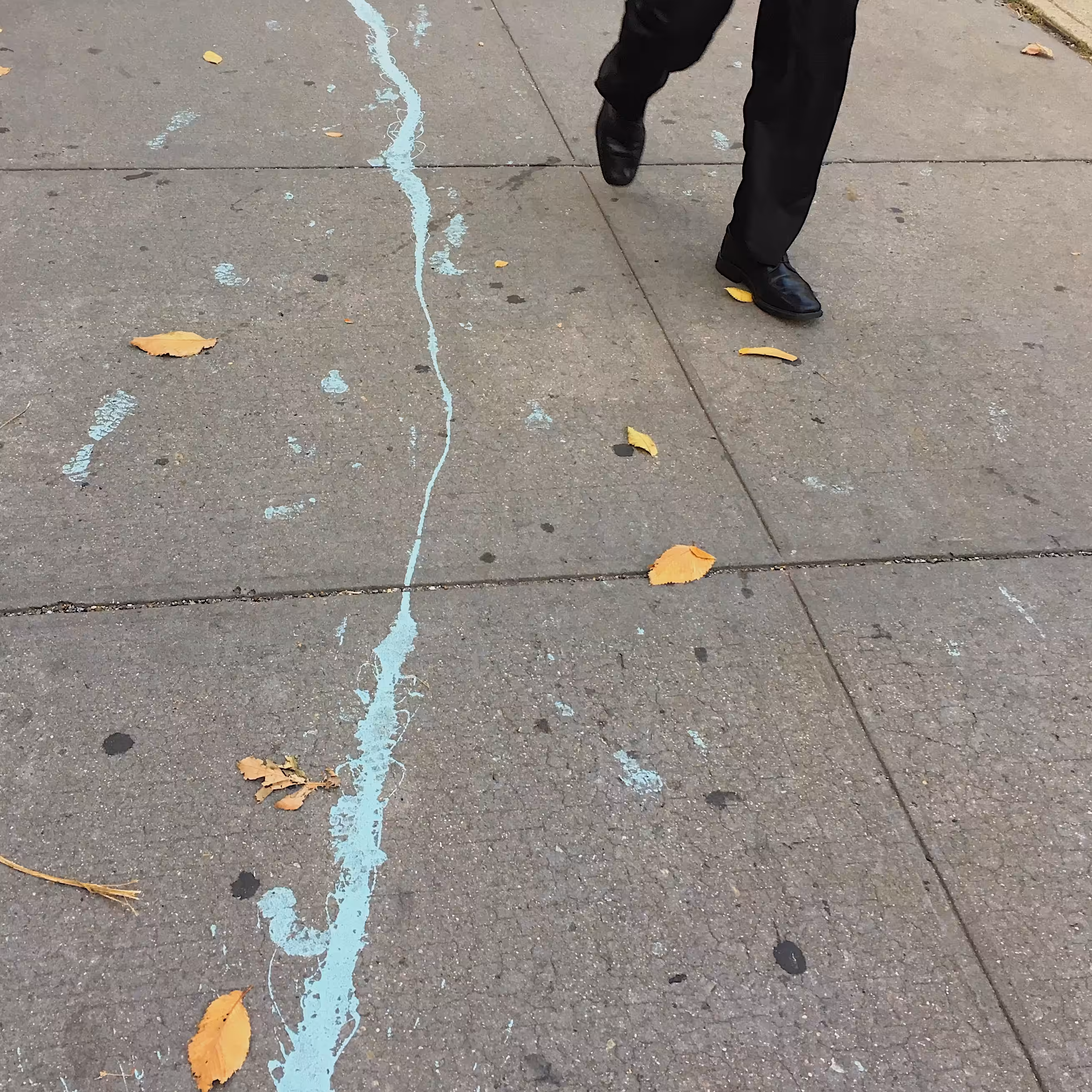 Trace