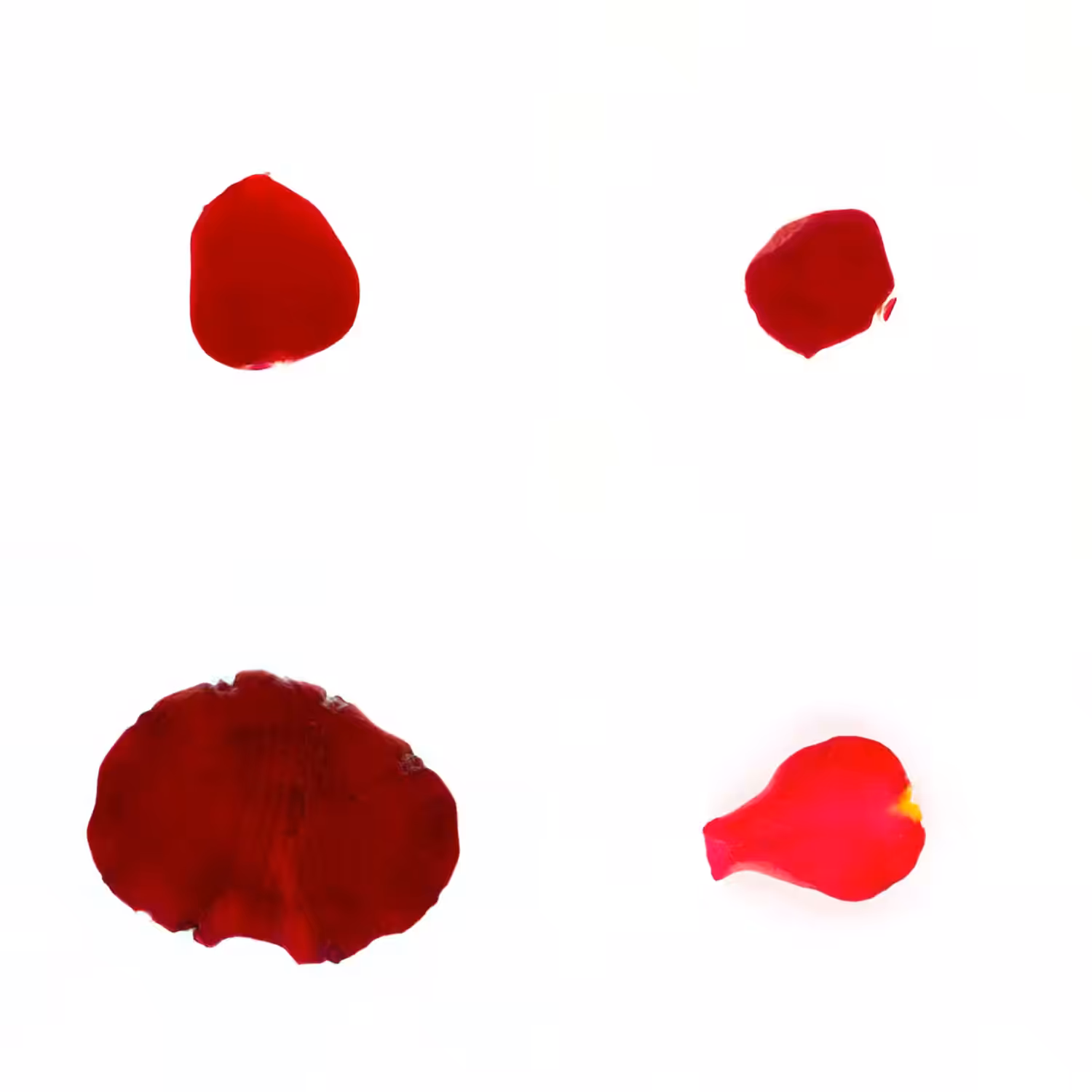 Infinite Petals 2x2#20066
