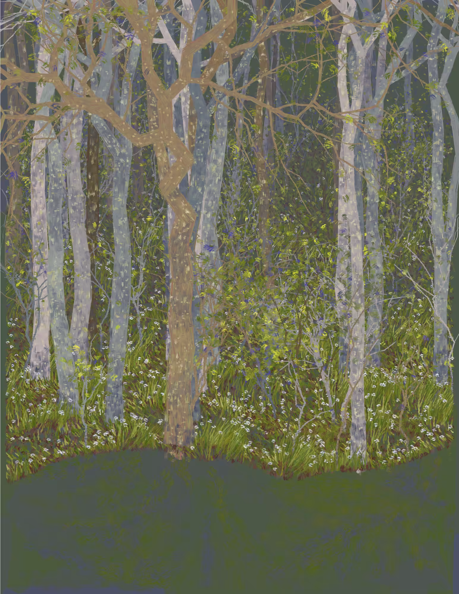 Deep Forest #84