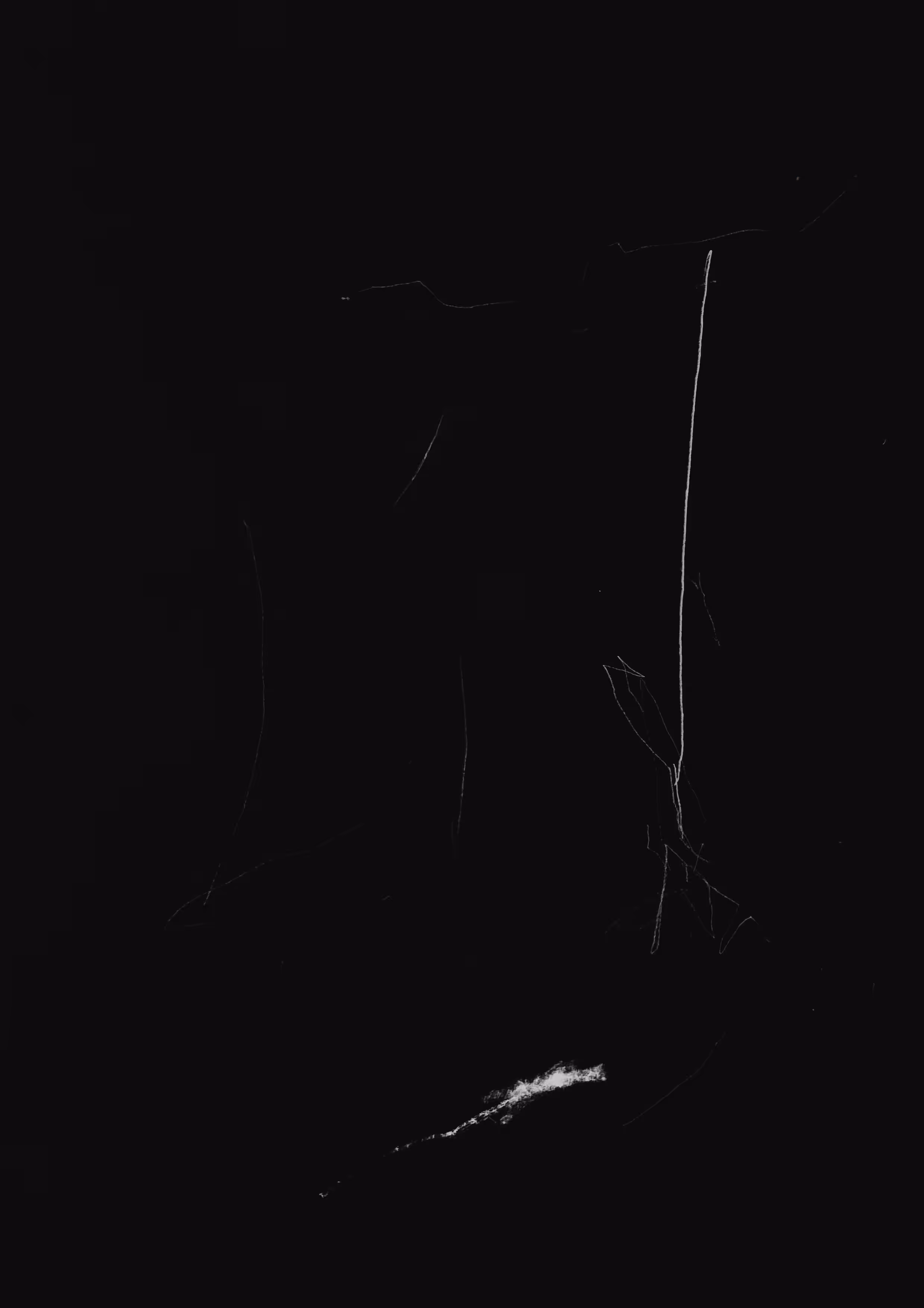Wall 9176