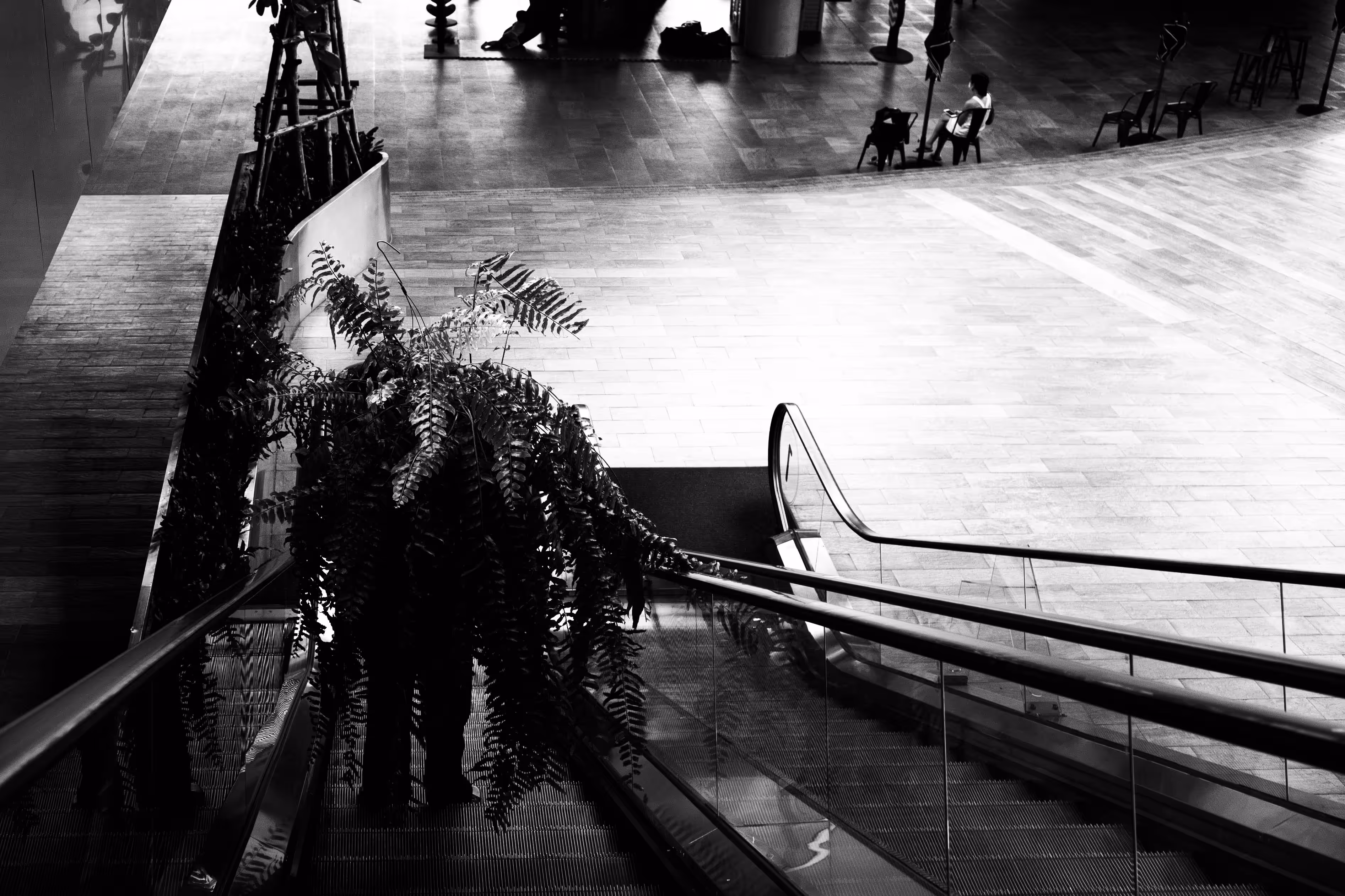 plant man