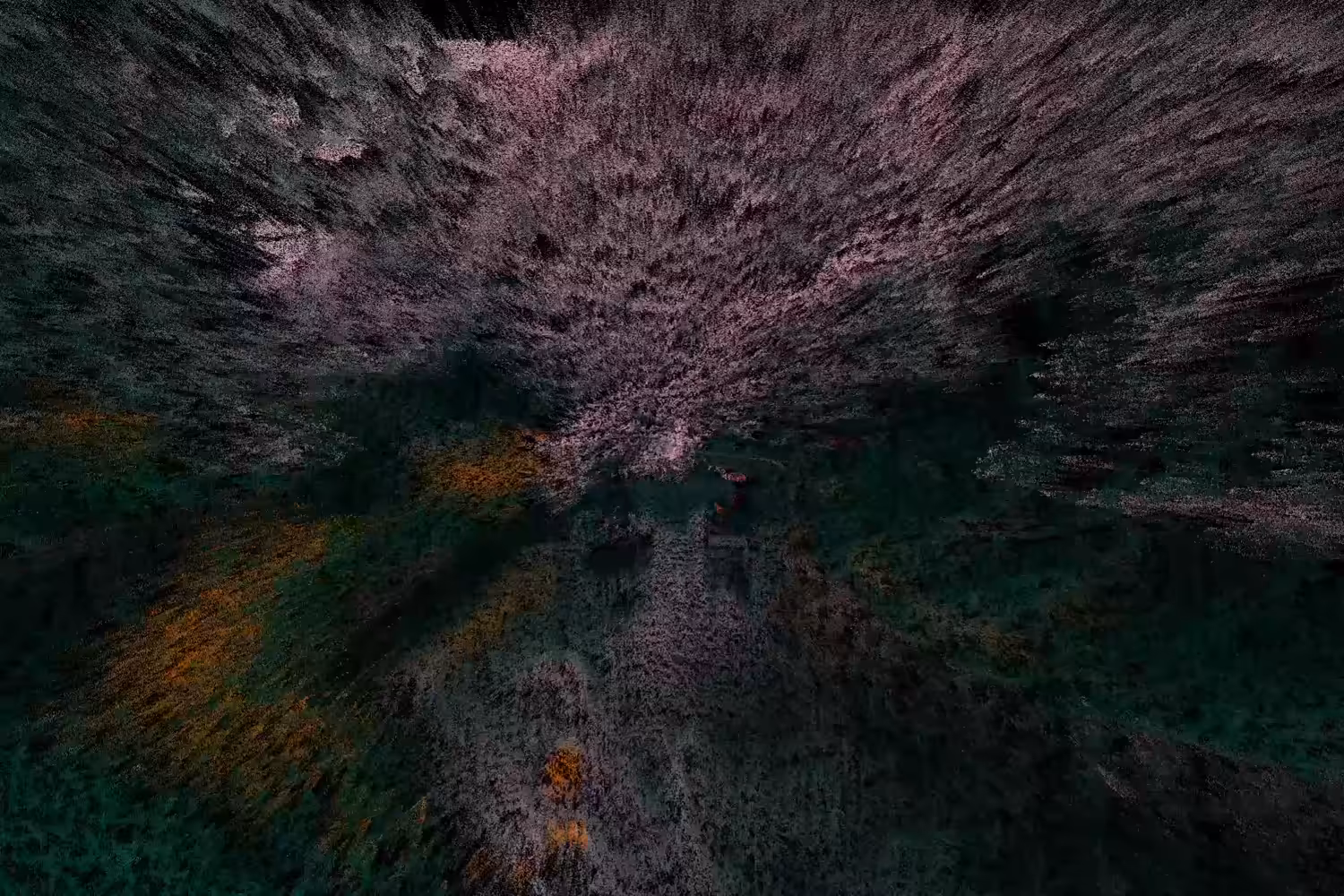 Blossoming