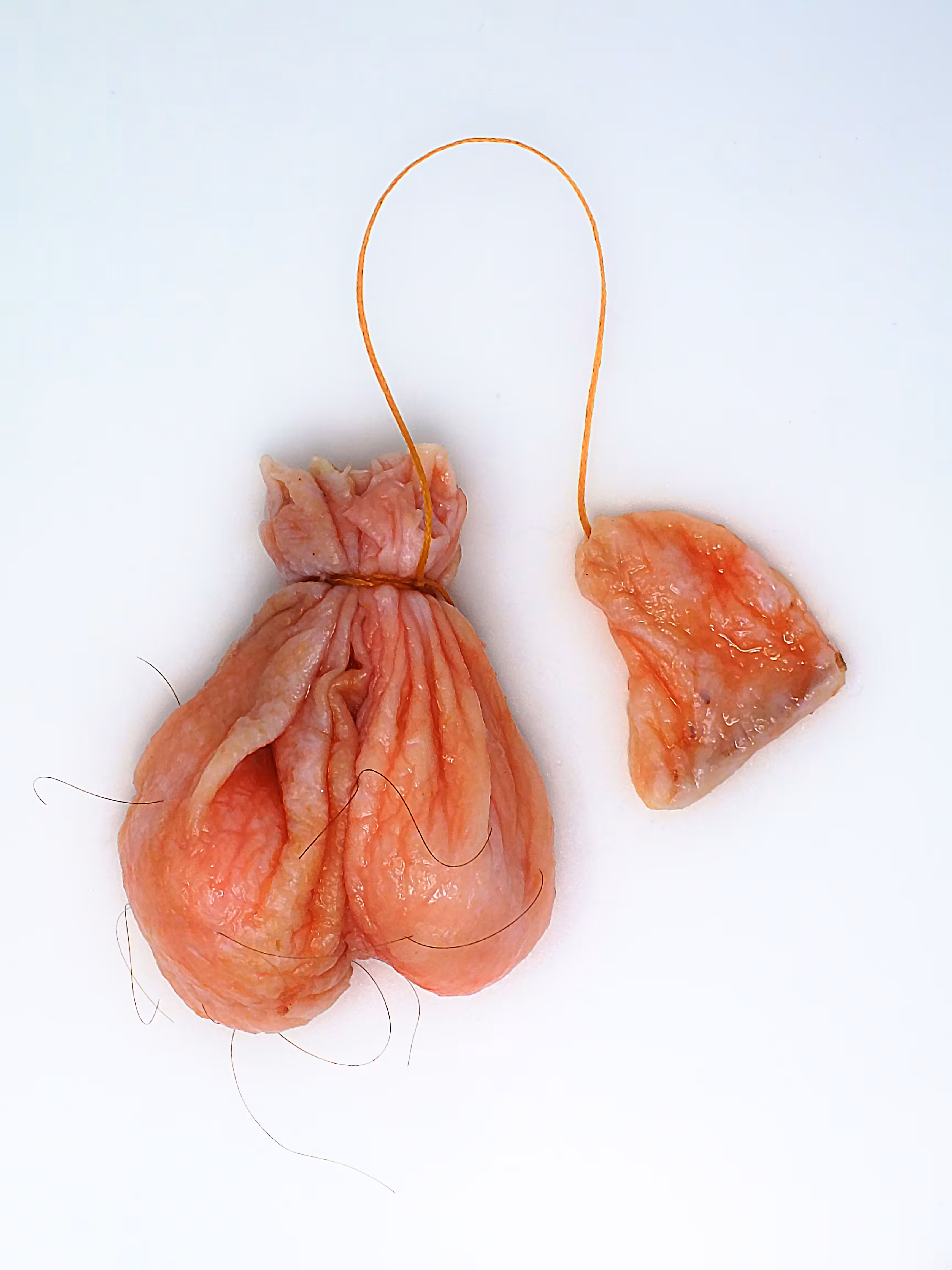 TEABAG