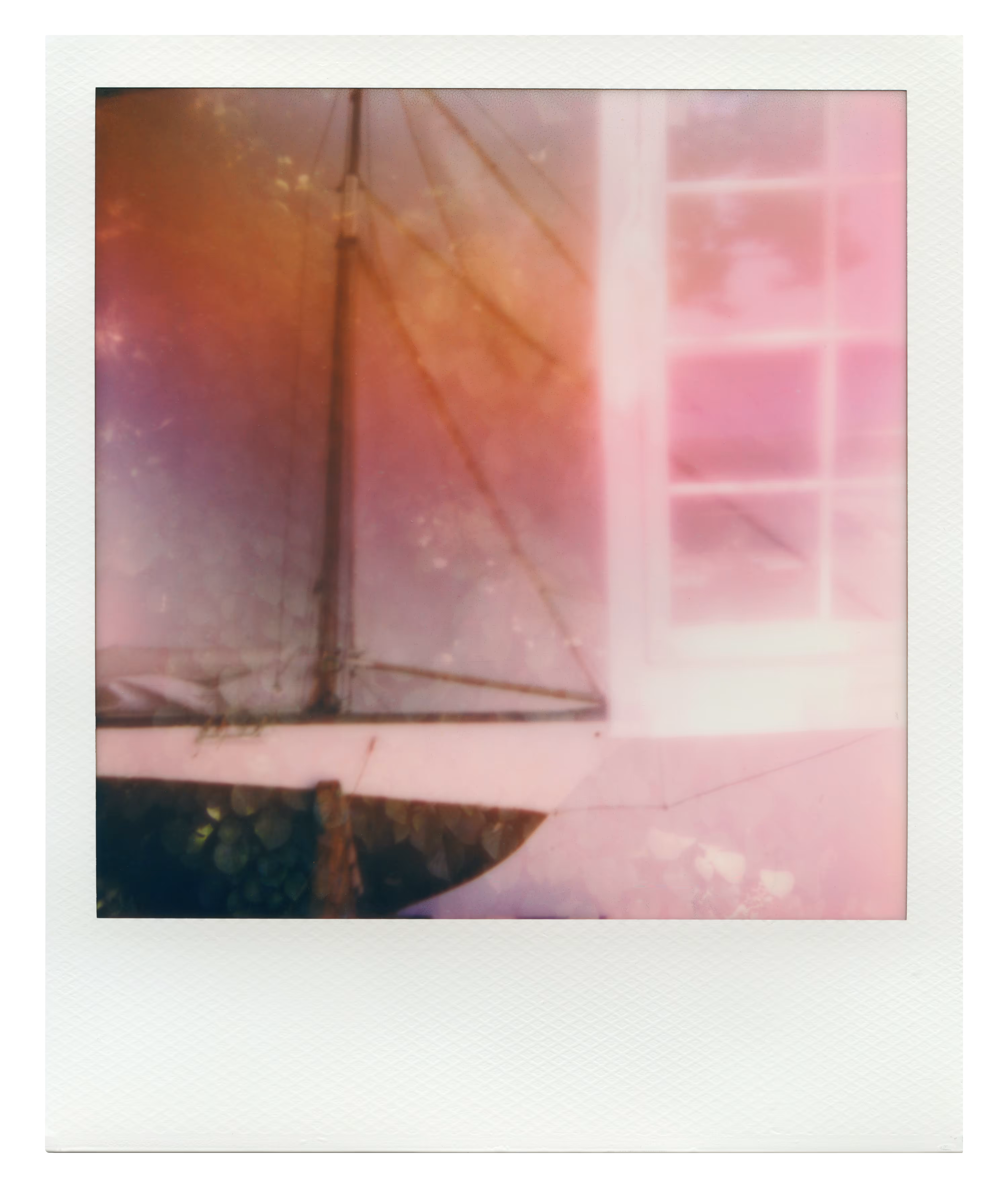 ENDLESS SUMMER